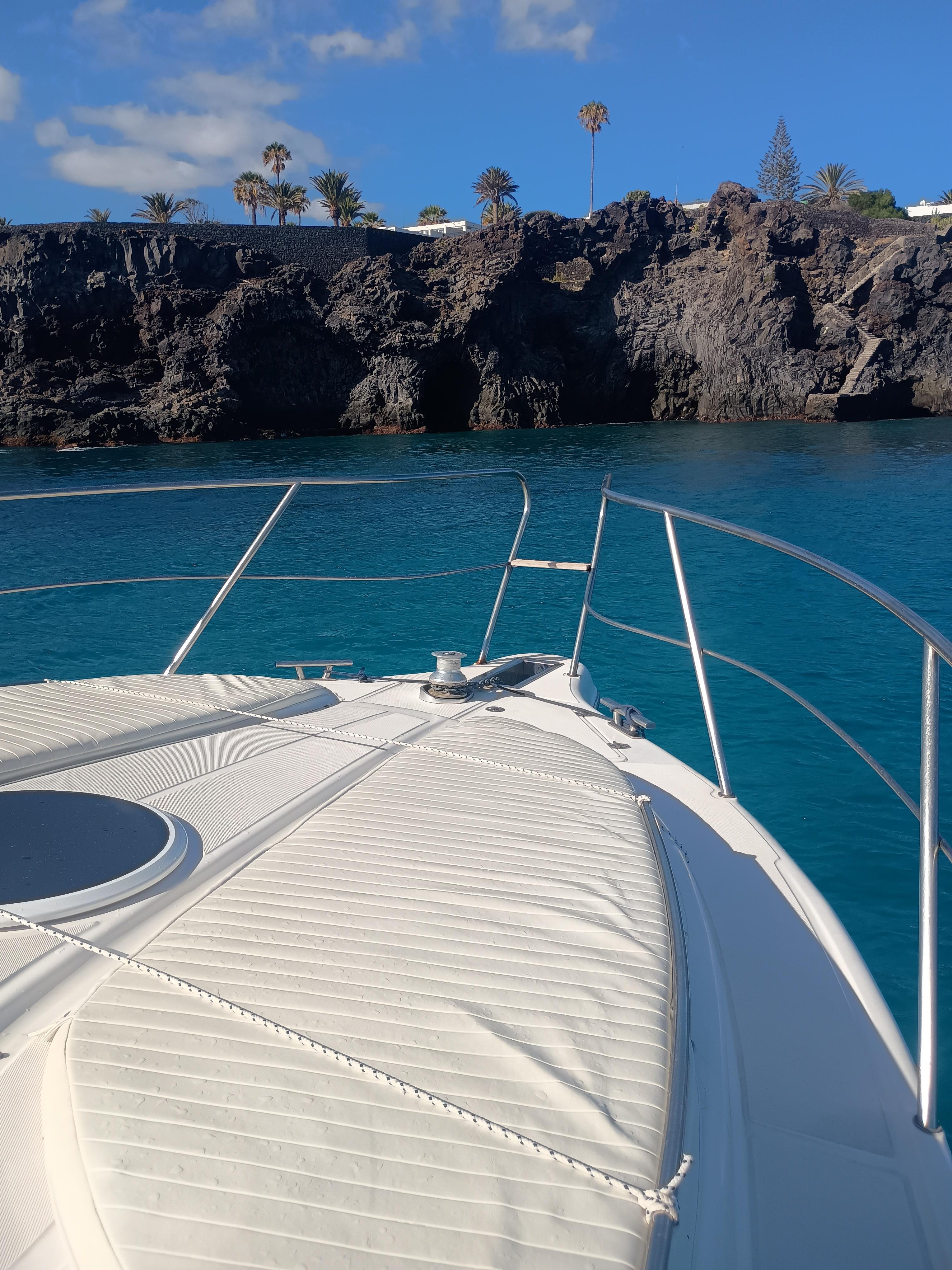 Luxury Whale Watching Safari in South Tenerife