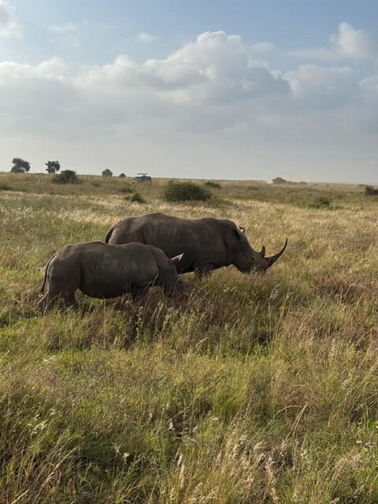 Nairobi Wildlife & History Day Tour
