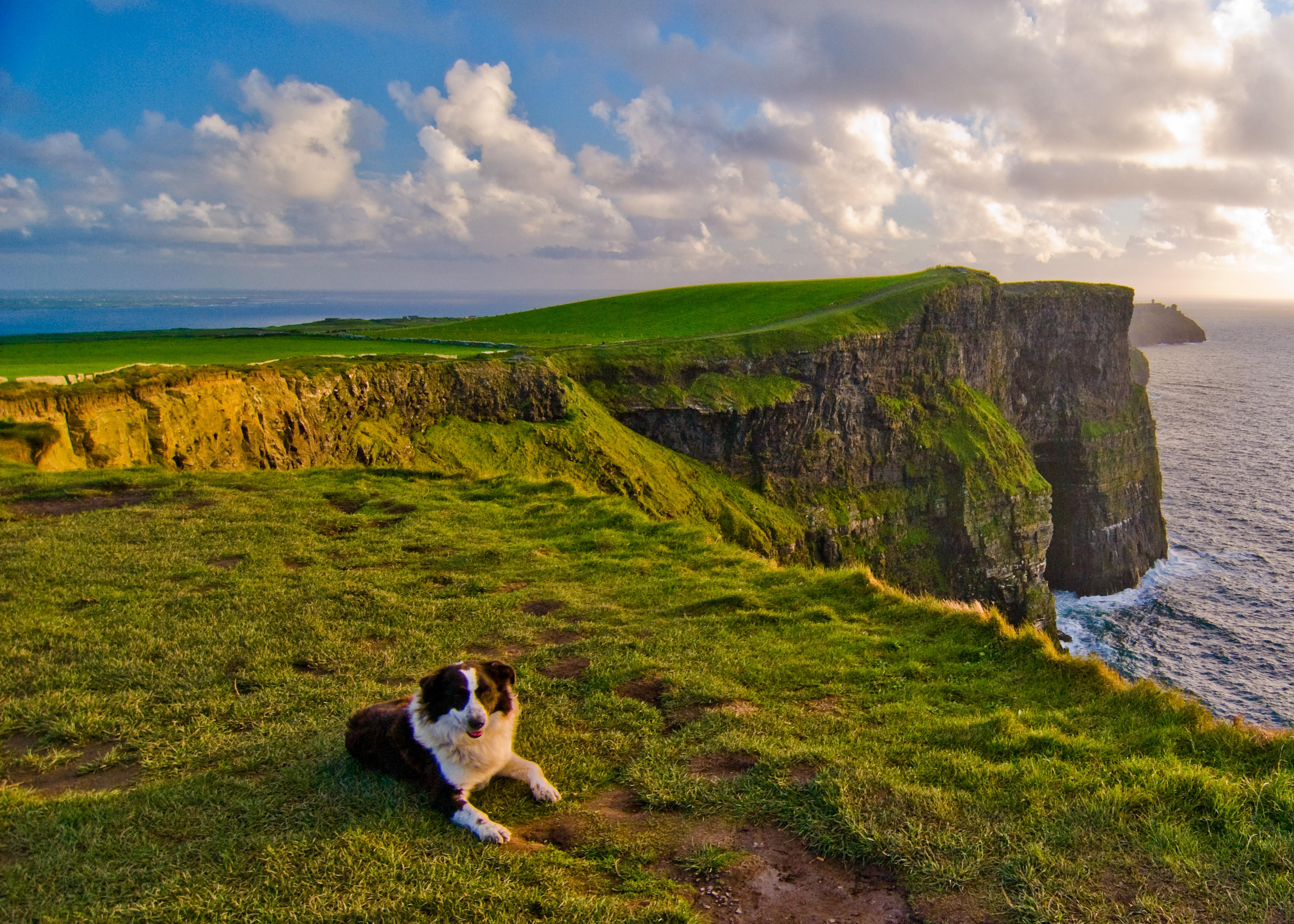 Cliffs of Moher Private Luxury Day Tour from Dublin
