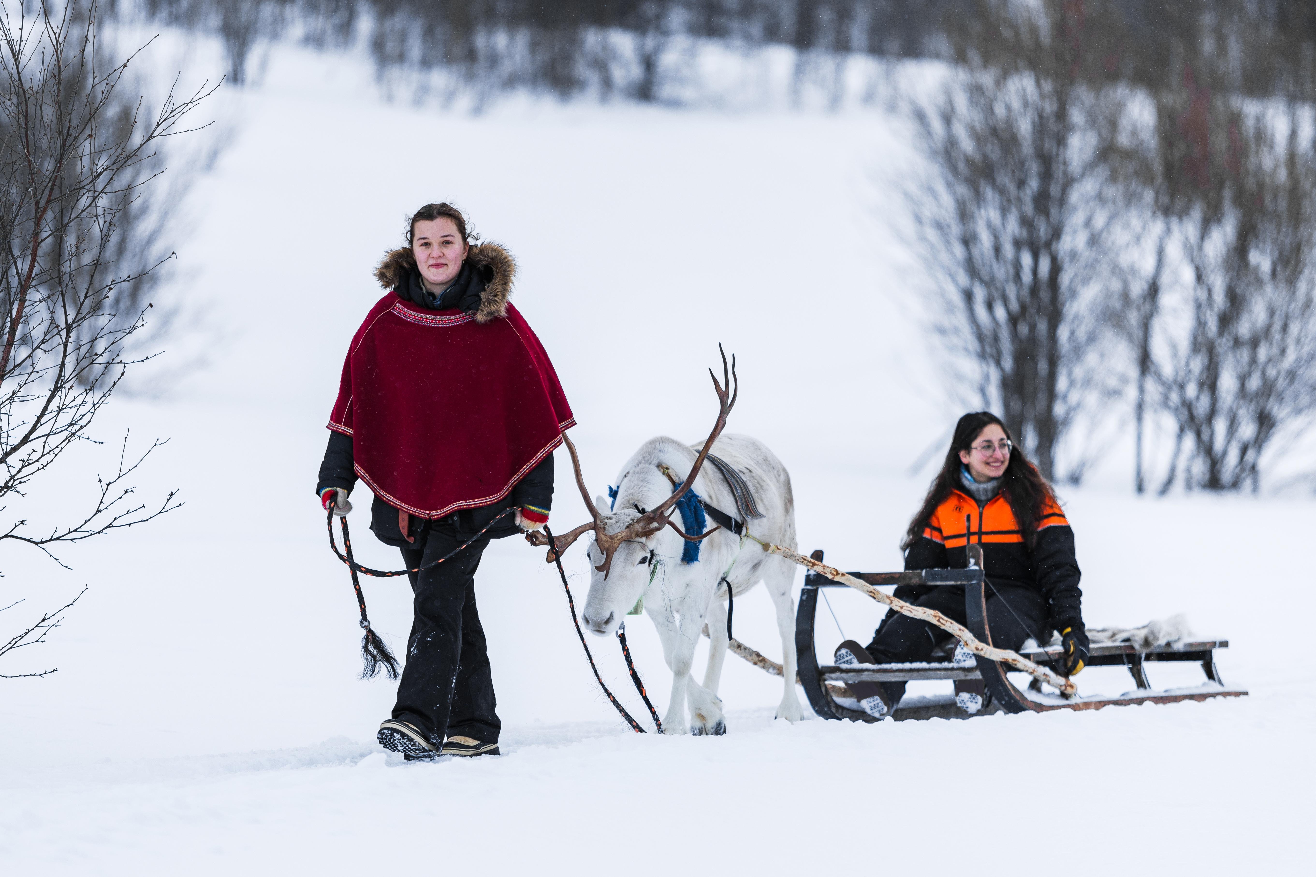 From Tromsø: Reindeer Sledding at Camp Tamok