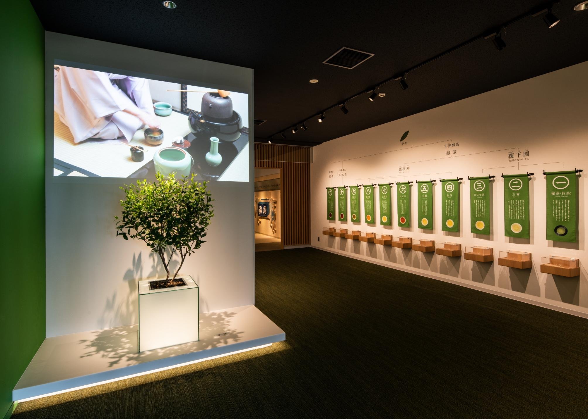 Uji Matcha Tea Museum Entry Ticket