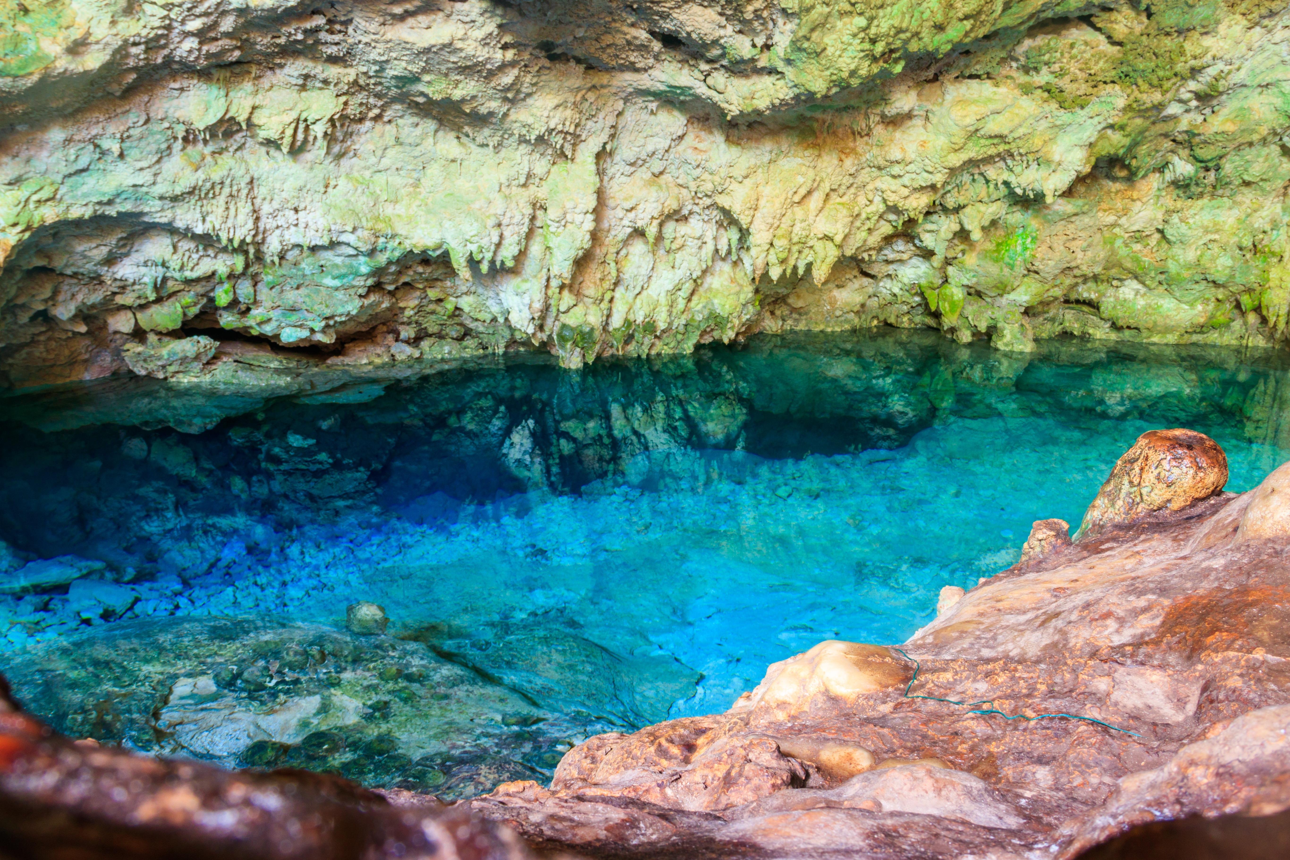 Zanzibar Hidden Gems: Secret Beach, Kuza Cave & Jozani Forest