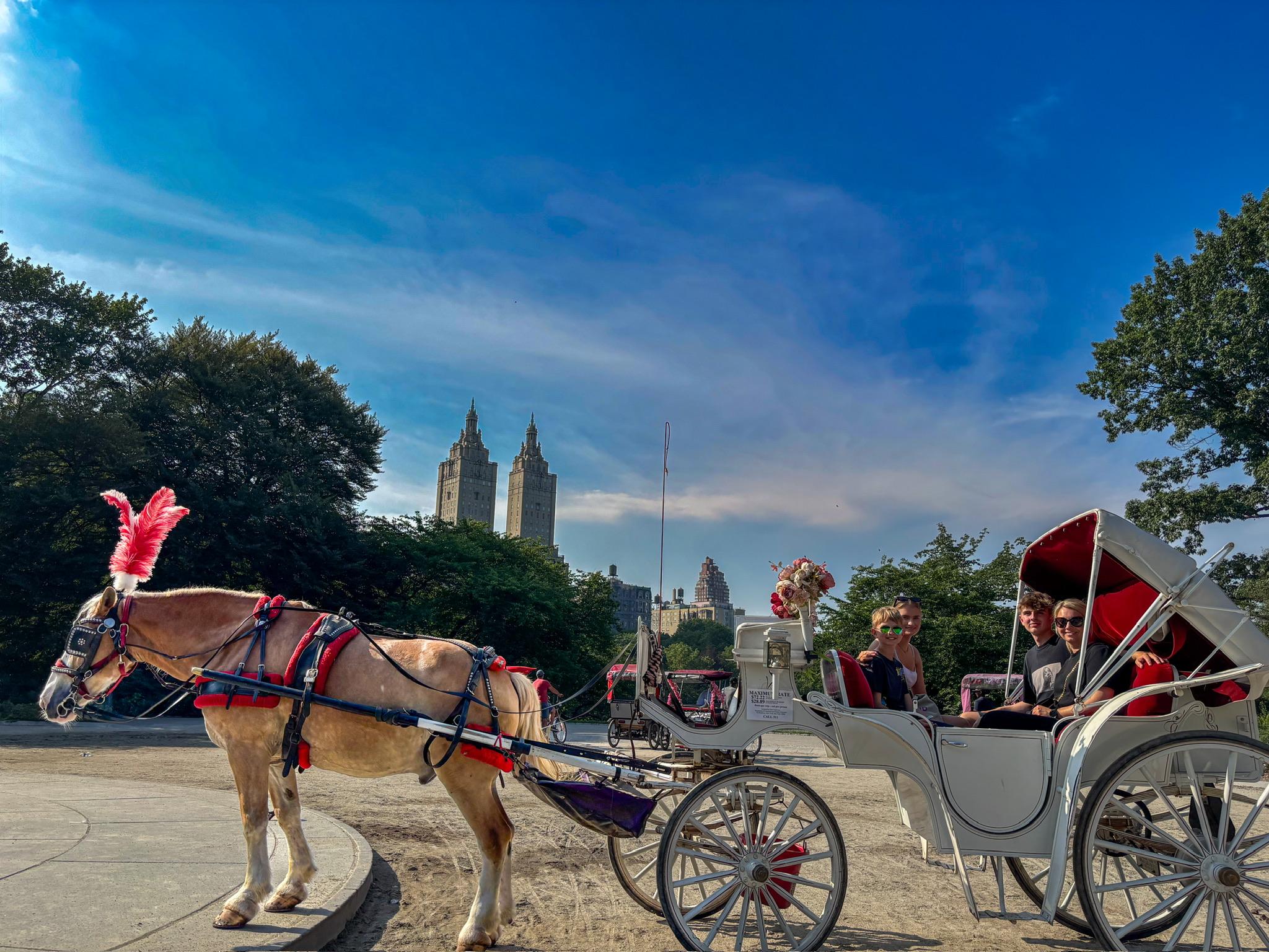 Central Park horse carriage ride — image 11