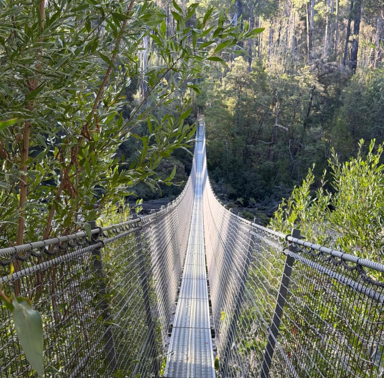 Tahune AirWalk & Hastings Caves Day Trip from Hobart