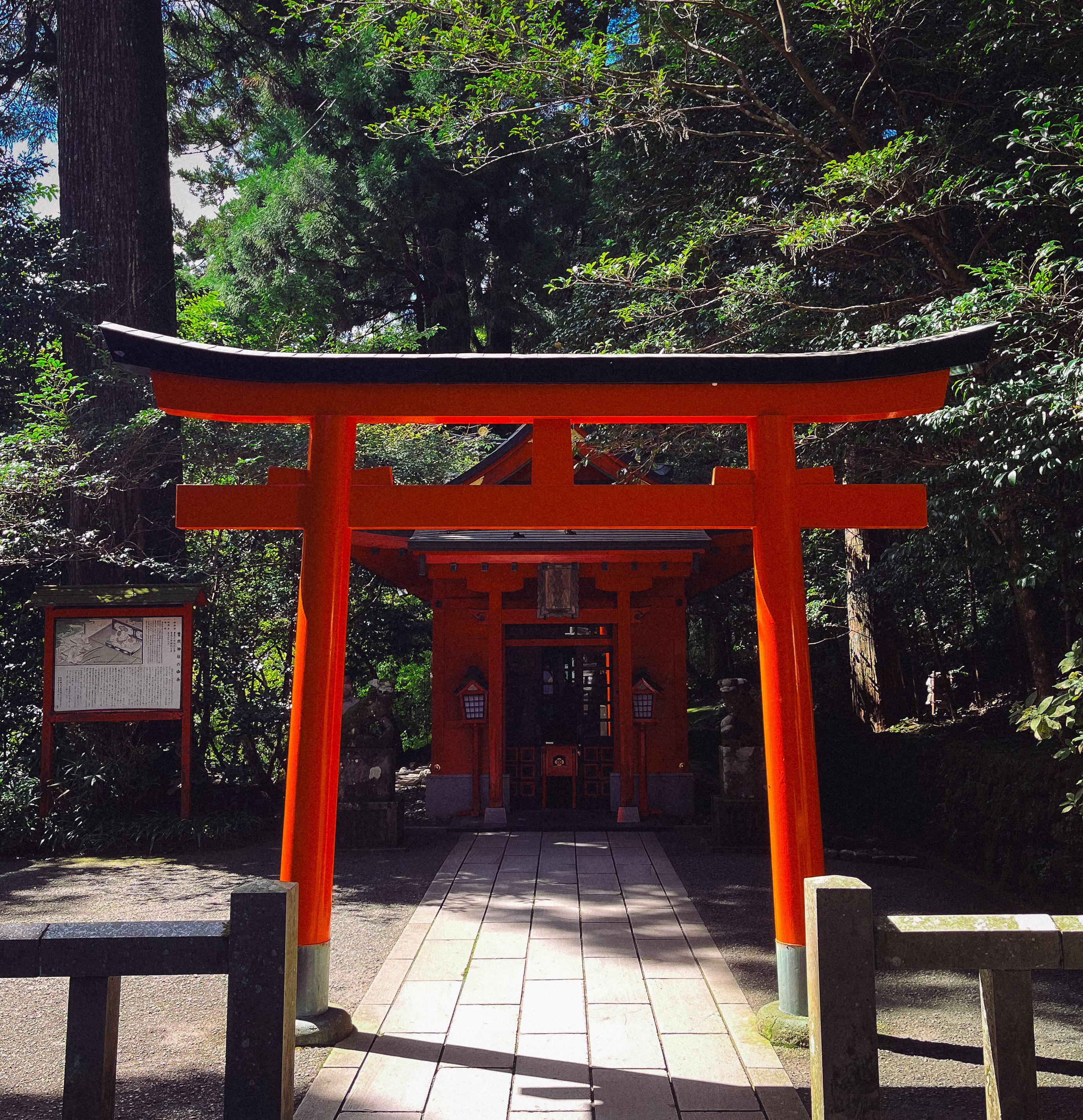 From Tokyo: Private Tour to Fuji/Hakone - Onsen, Art, Nature — Japanese onsen experience photo 22