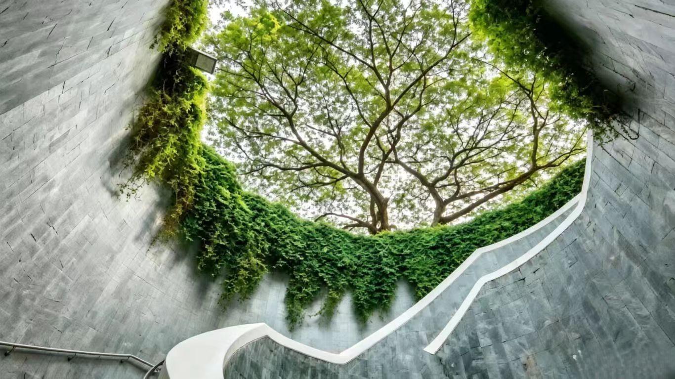 Private Instagram Photo Tour by Car