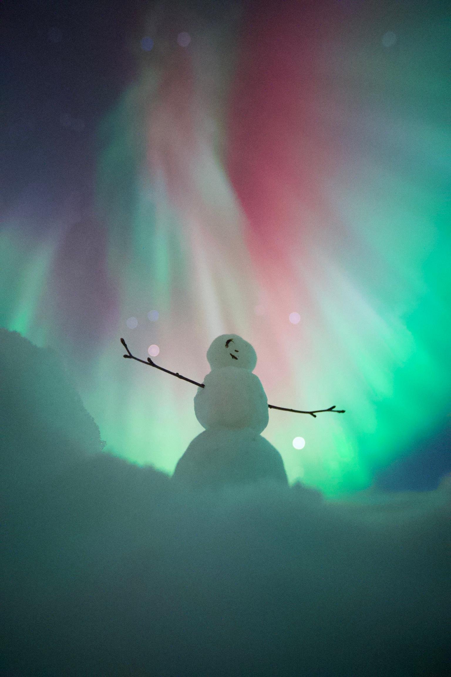 Rovaniemi Aurora Hunt: 200km Chase + Money-Back Guarantee