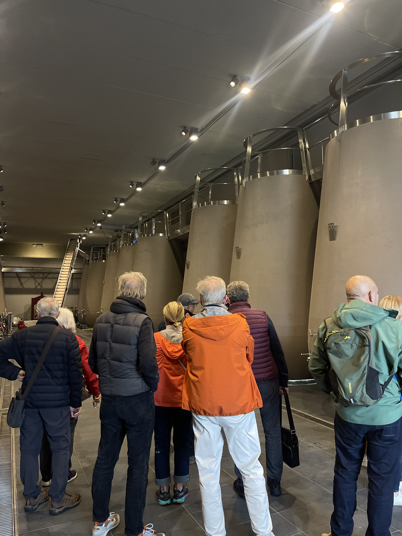 wine tour in the Médoc — photo 8