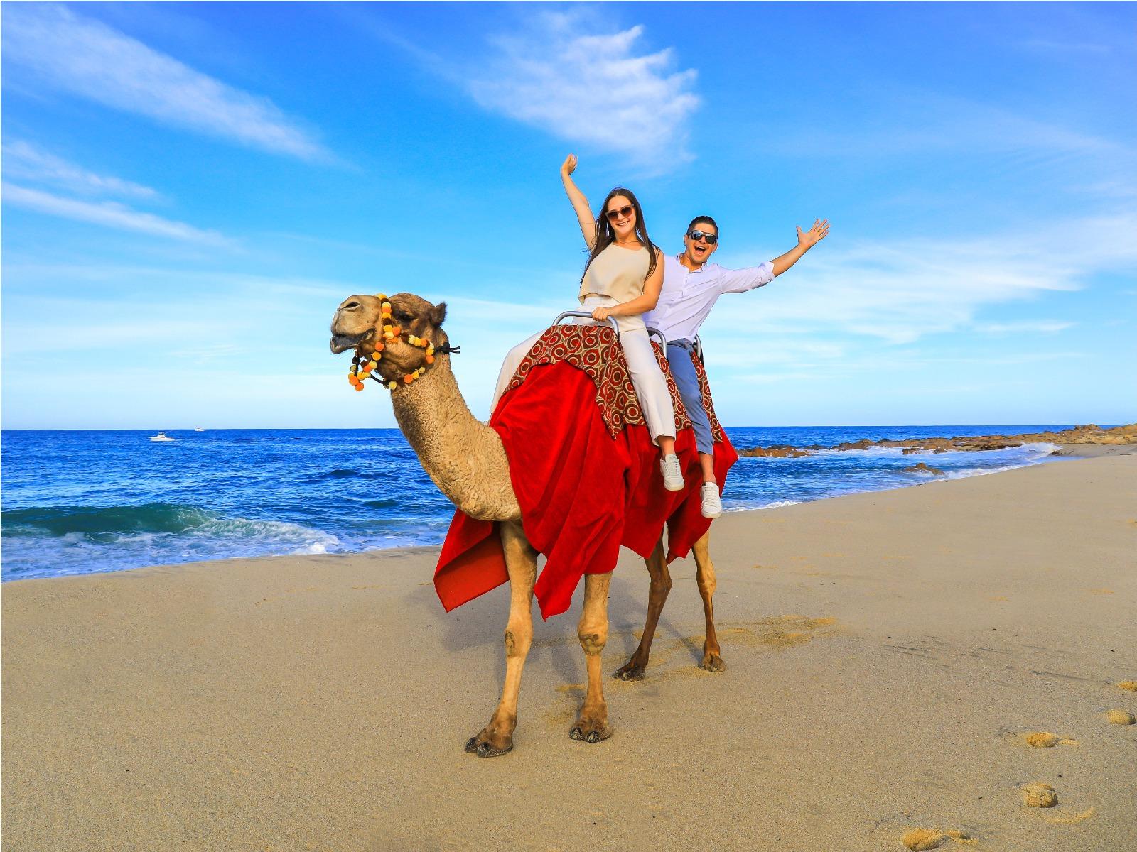 Cabo Beach UTV & Camel Adventure