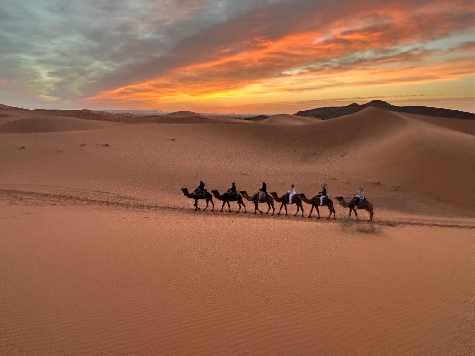 3-Day Marrakech to Fes Desert Adventure with Camel Trek