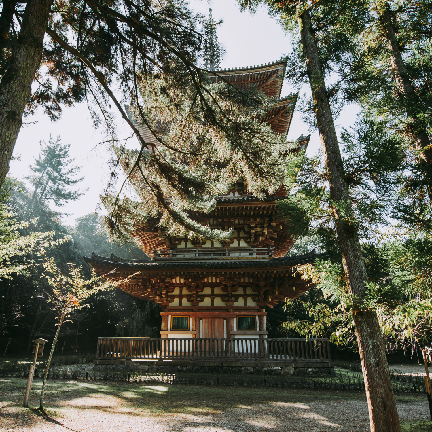 Private Nikko Day Tour from Tokyo – Fully Customizable