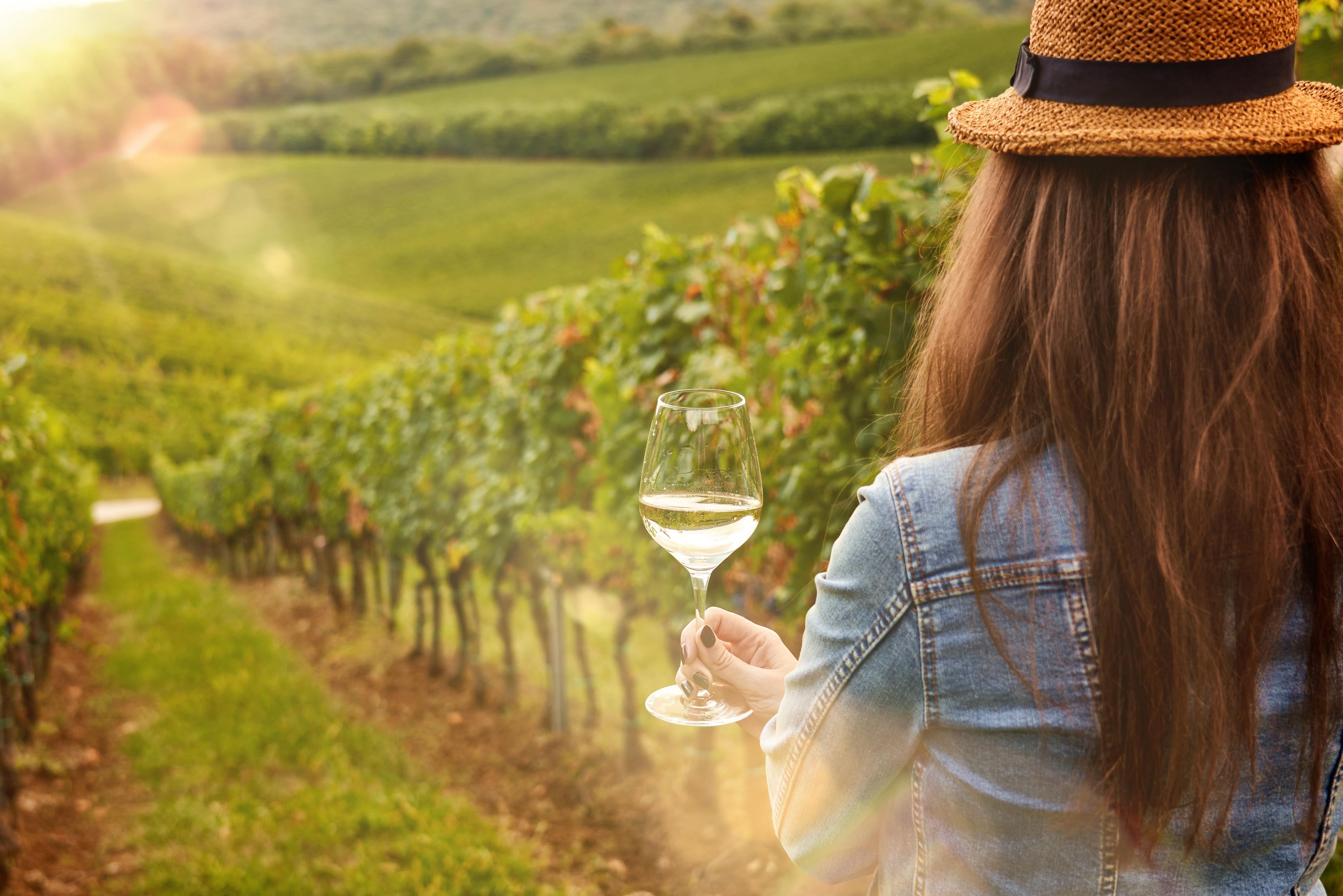 Mount Etna Exploration with Wine & Lunch