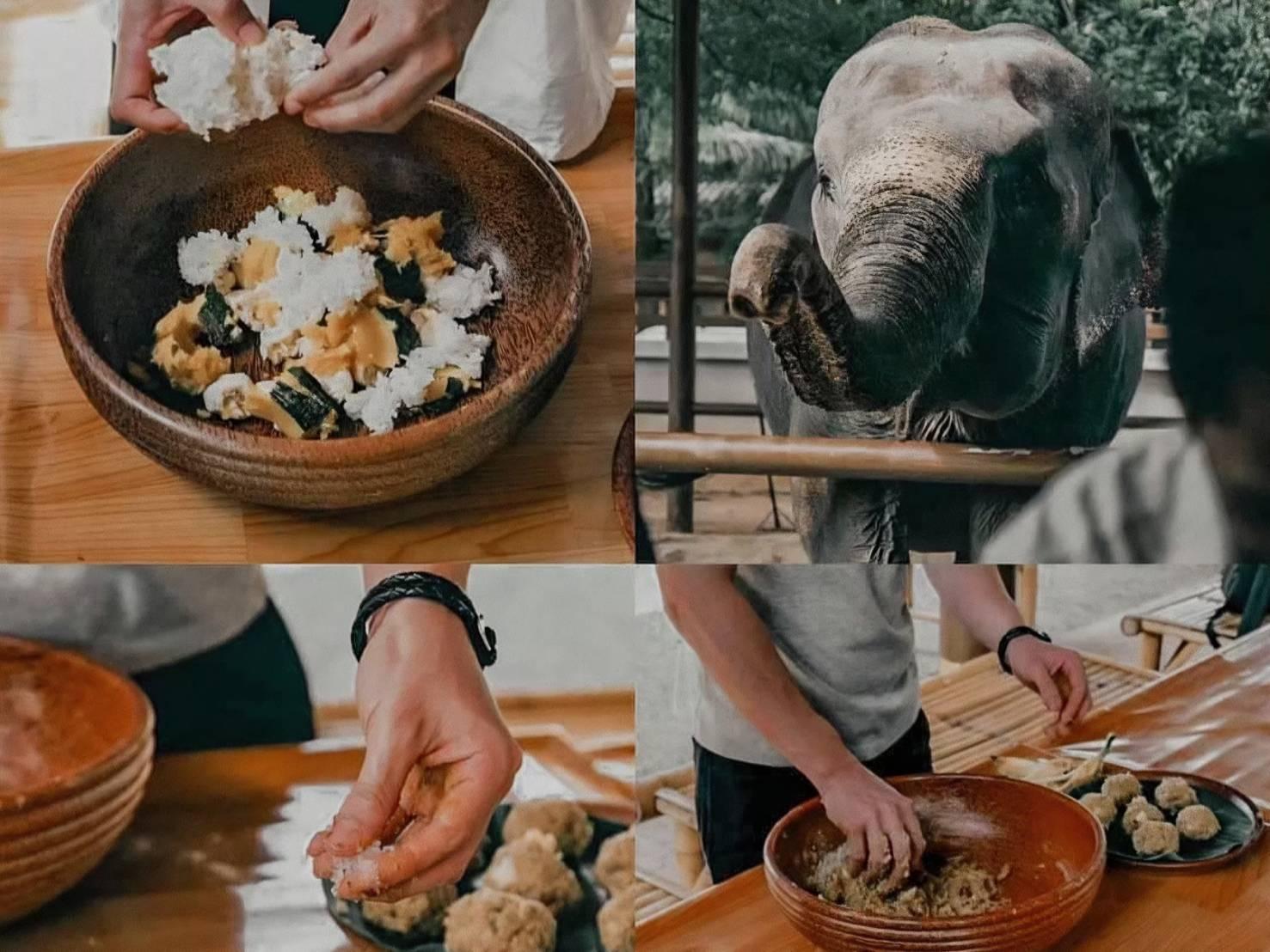 Samui: Ethical Elephant Care & Nutrition Workshop