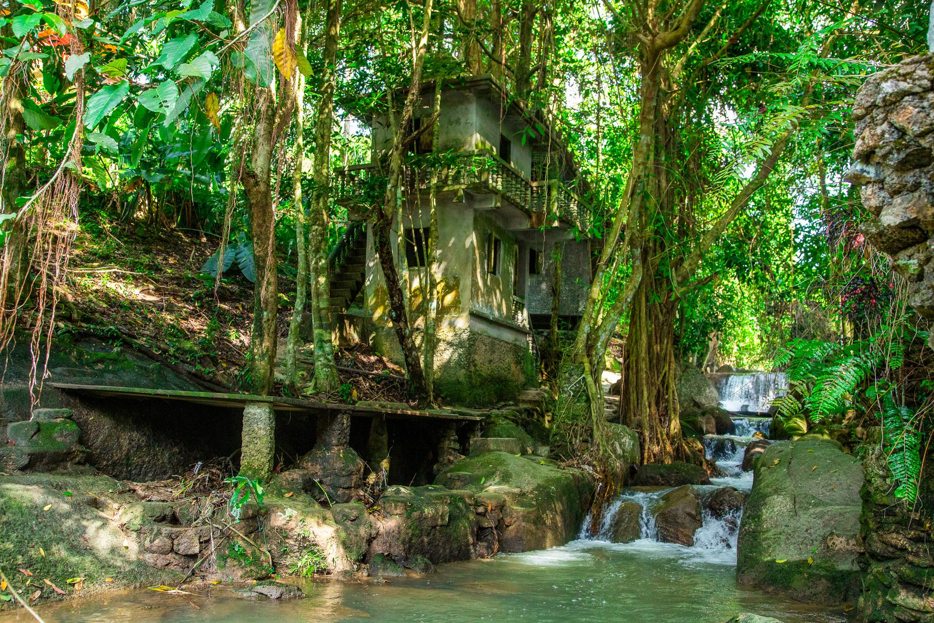 Koh Samui Jungle Adventure: Elephant Sanctuary & Waterfalls