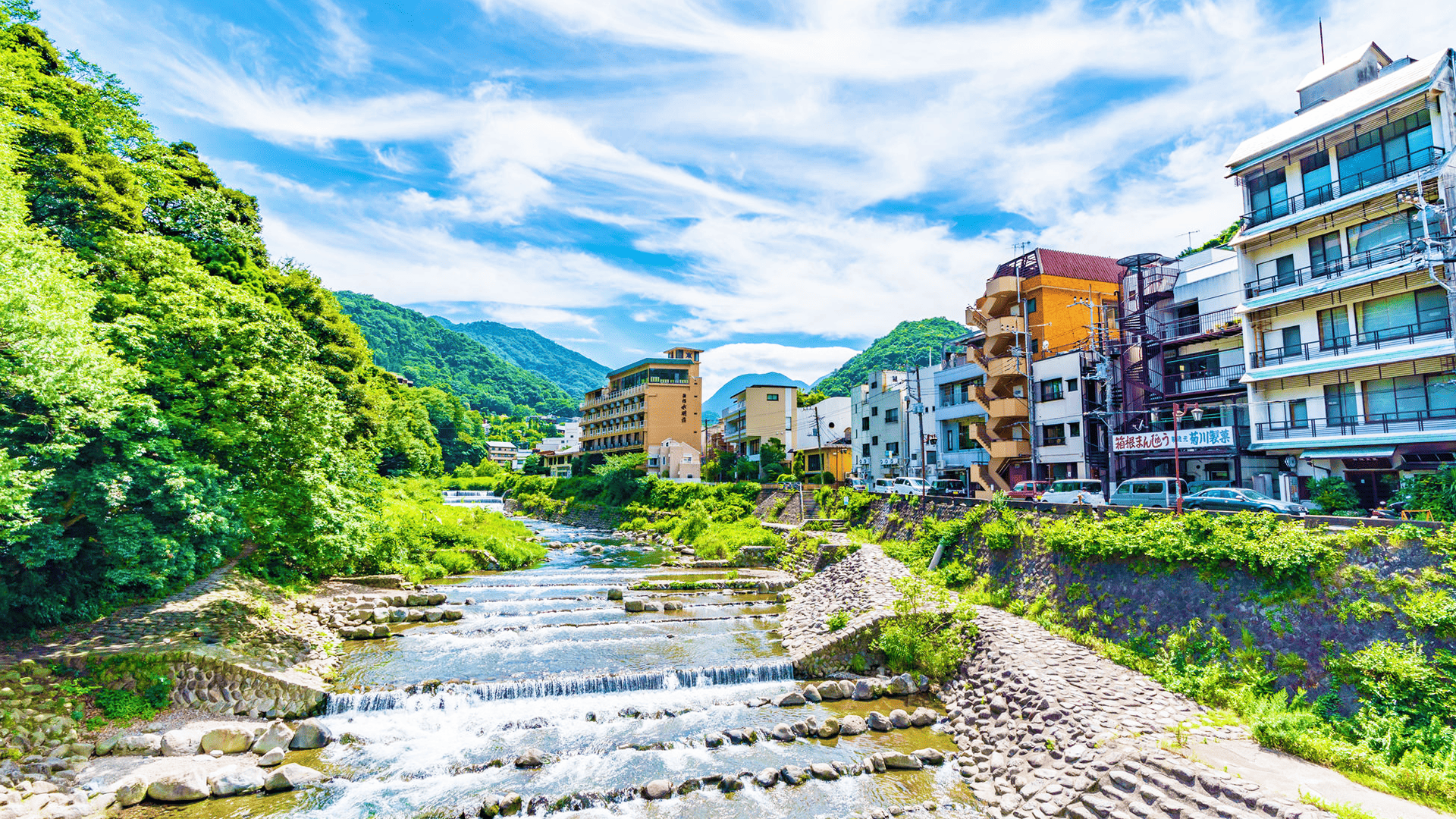 Mt. Fuji & Hakone Day Trip: Pirate Cruise, Ropeway & Shrine from Tokyo