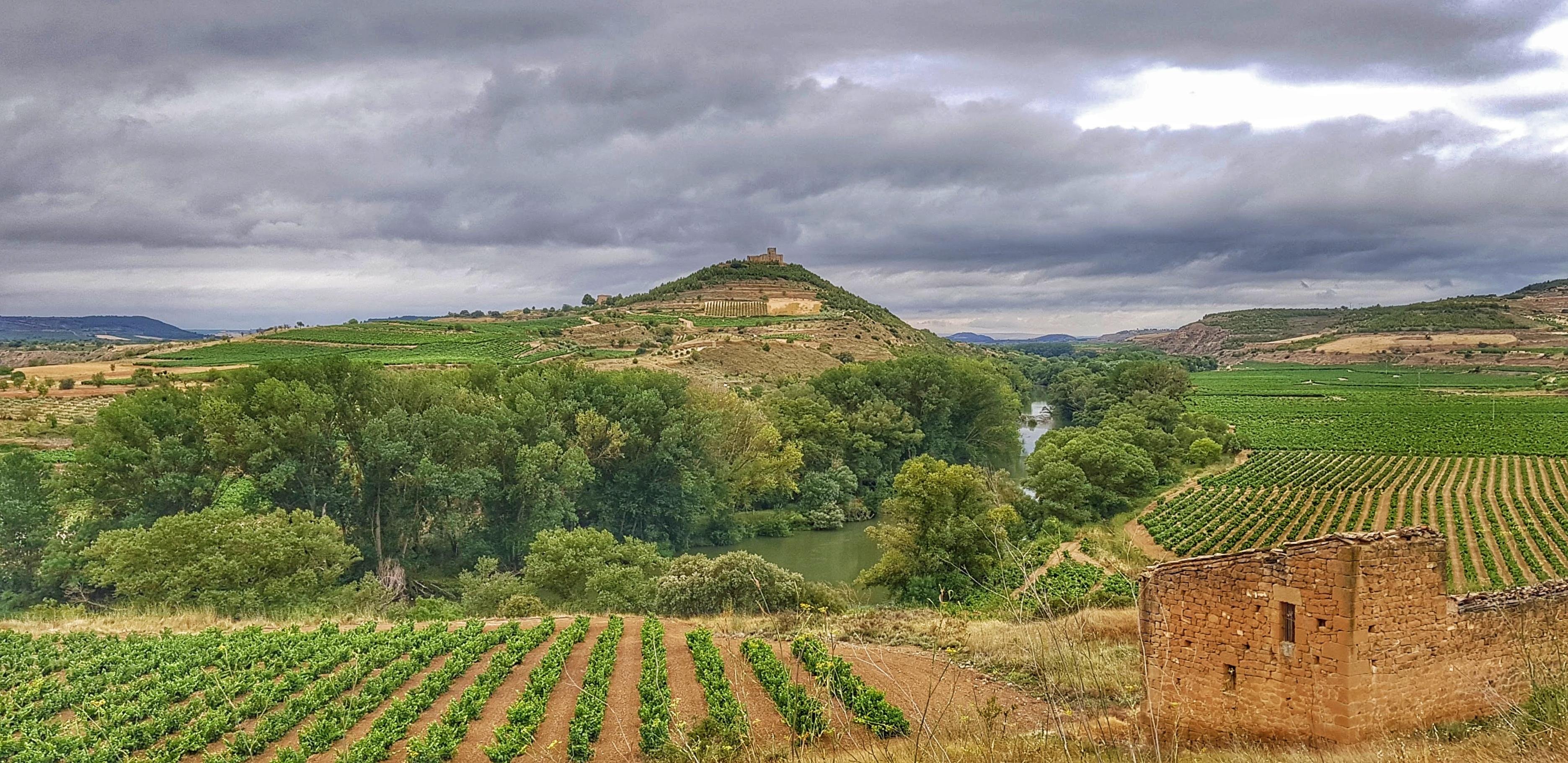 Rioja Wine Tour with Winery Owner