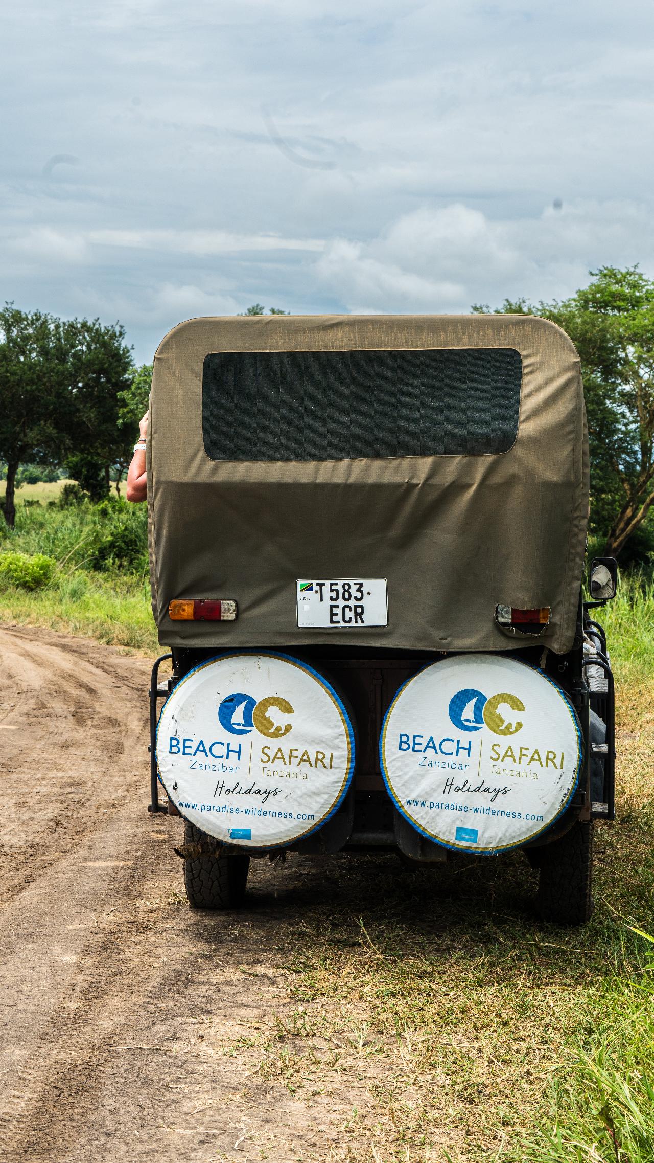 Zanzibar to Mikumi: Fly-In Safari Day Trip with Bush Lunch