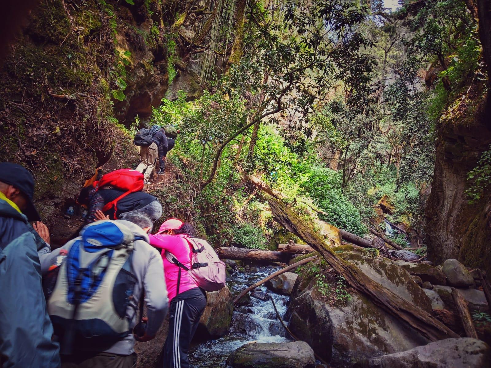 Private Cascada de Hueyapan Waterfall Hike from Mexico City