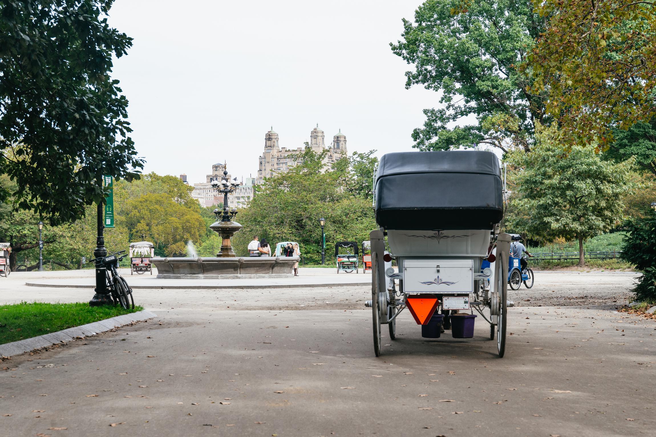 Central Park Private Pedicab Tour with Photographer