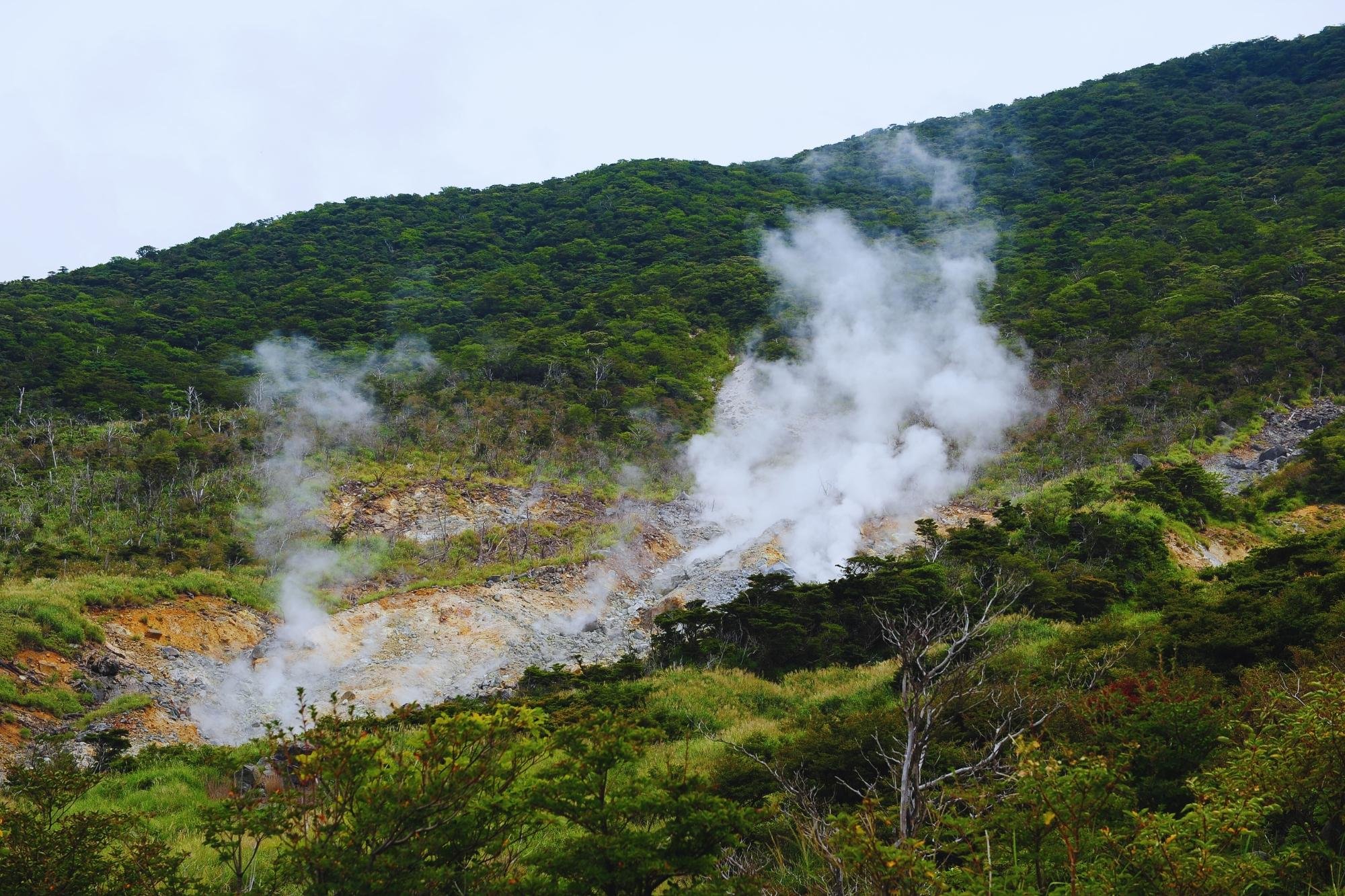 Mt. Fuji, Hakone & Arakura Pagoda Full-Day Tour from Tokyo