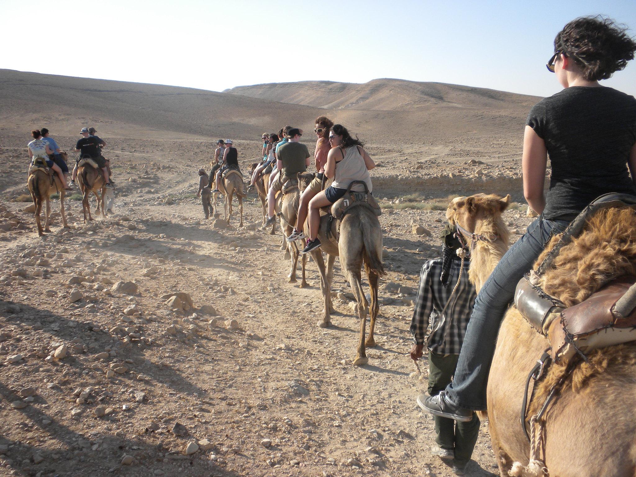 Agadir Camel Trekking Adventure with Refreshments