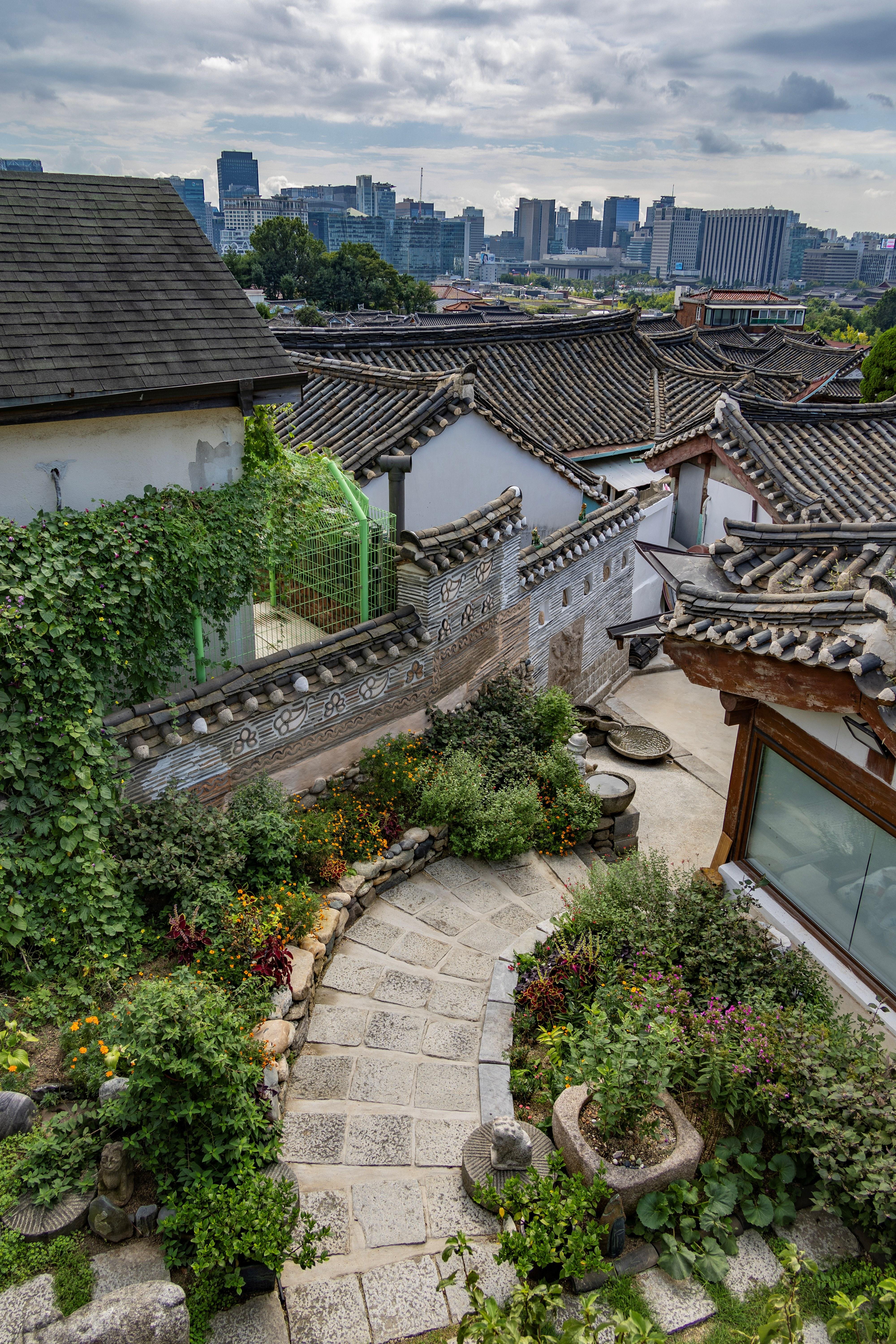 Seoul Highlights: Palace, Hanok Villages & Gwangjang Market