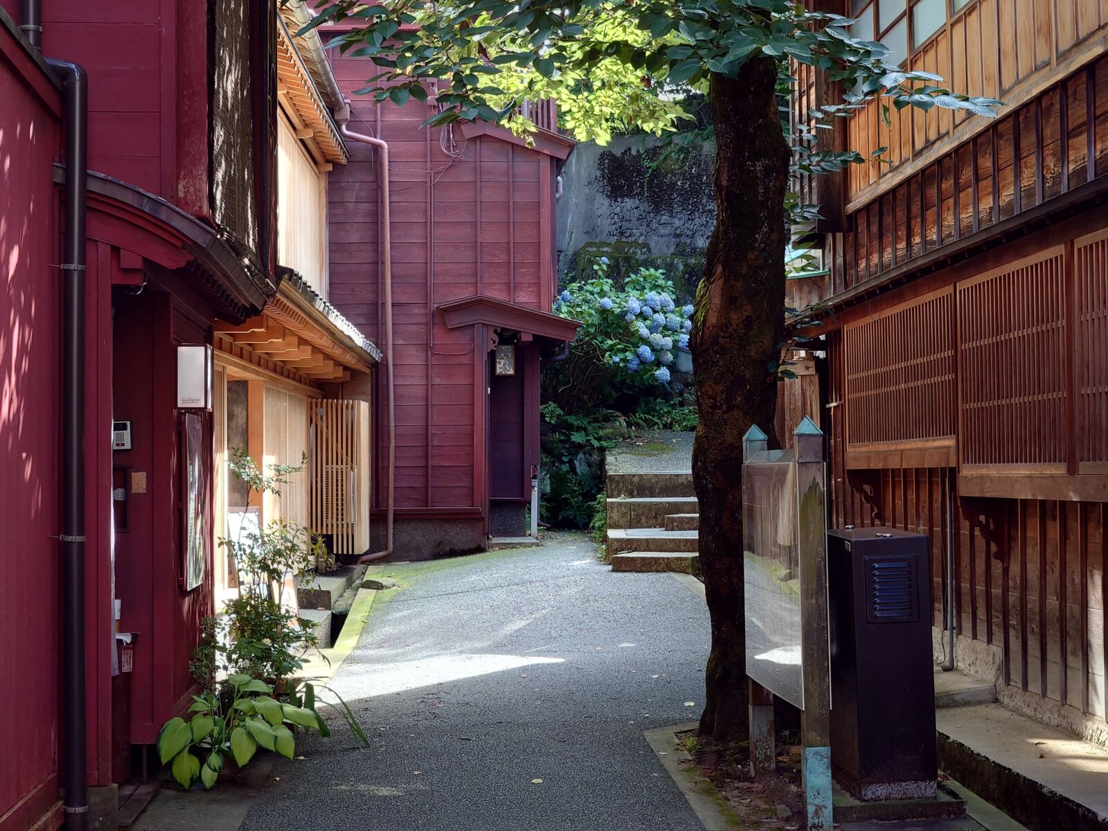 Kanazawa: Samurai, Matcha, Gardens and Geisha Full-Day Tour