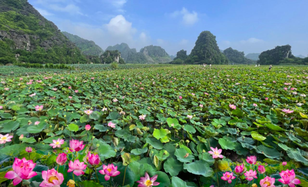 Private Ninh Binh Full-Day Tour: Hoa Lu, Bai Dinh, Trang An & Mua Cave