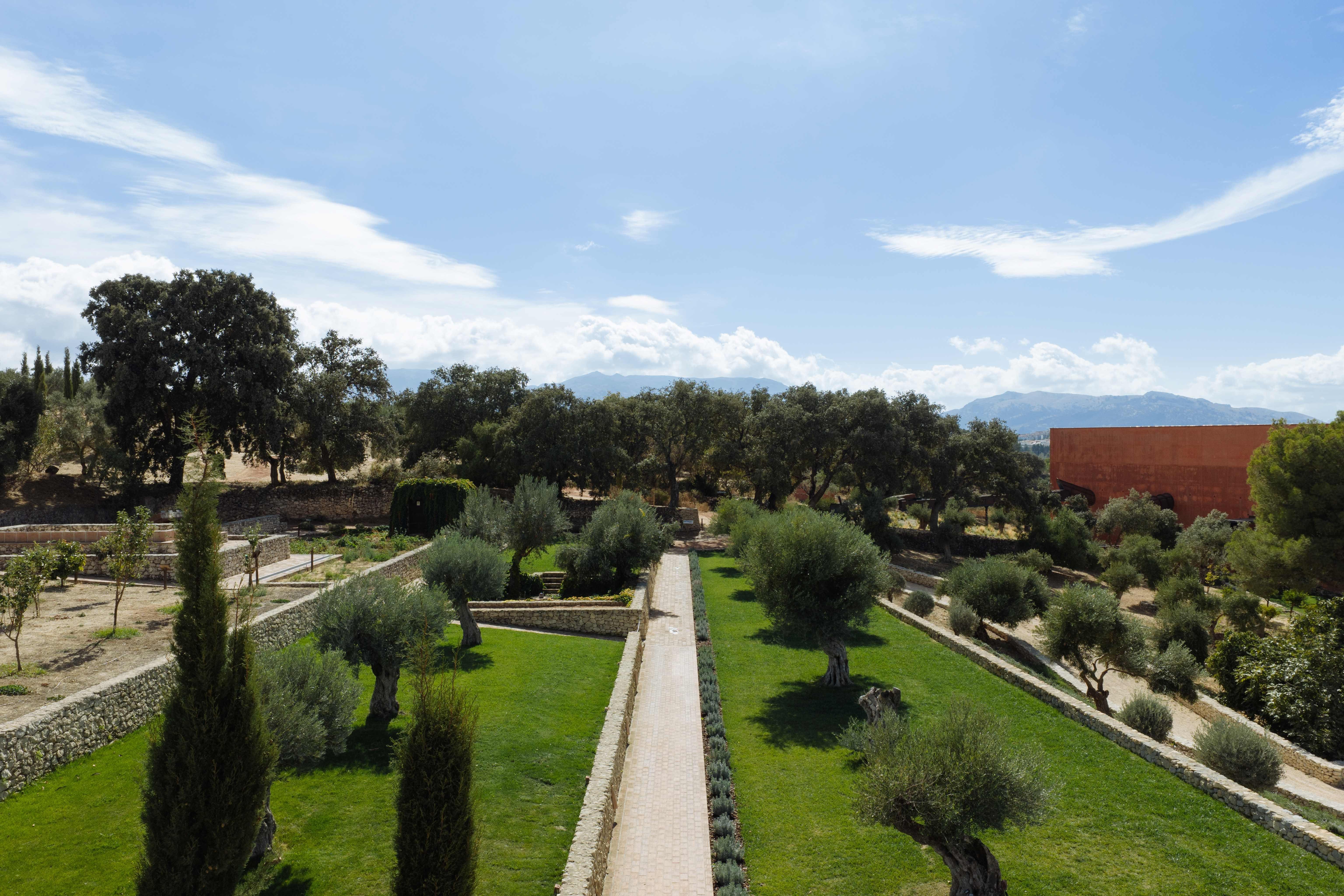 olive oil tasting in Ronda — photo 7