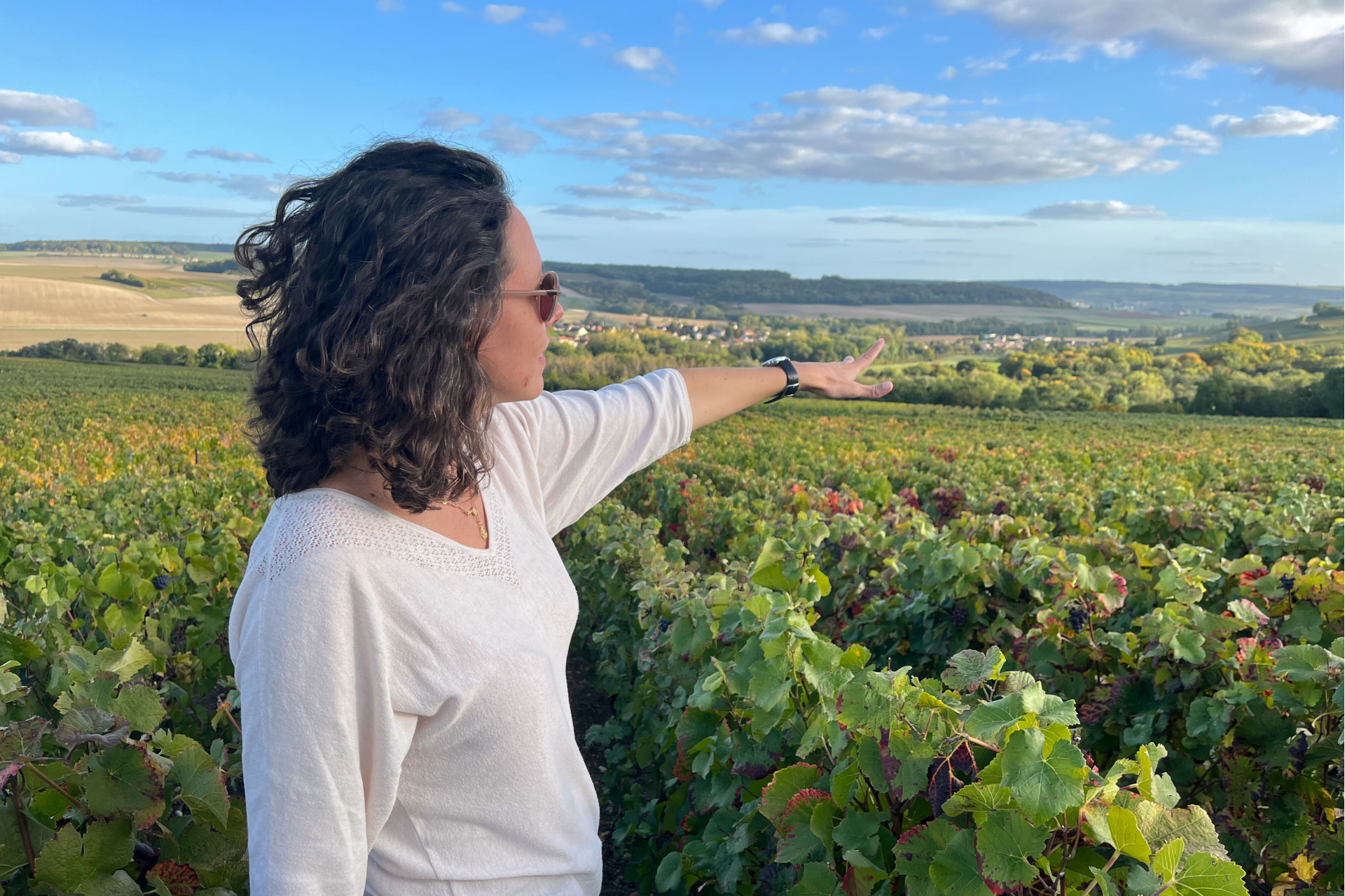 Sancerre Wine Discovery: Full-Day Tasting Experience from Paris