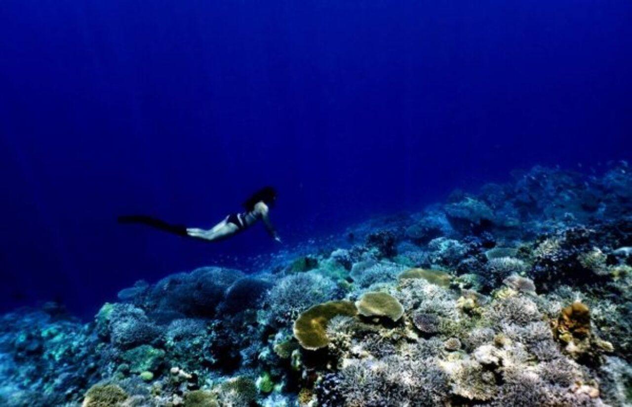 Okinawa: Blue Cave Freediving Tour with GoPro Photos