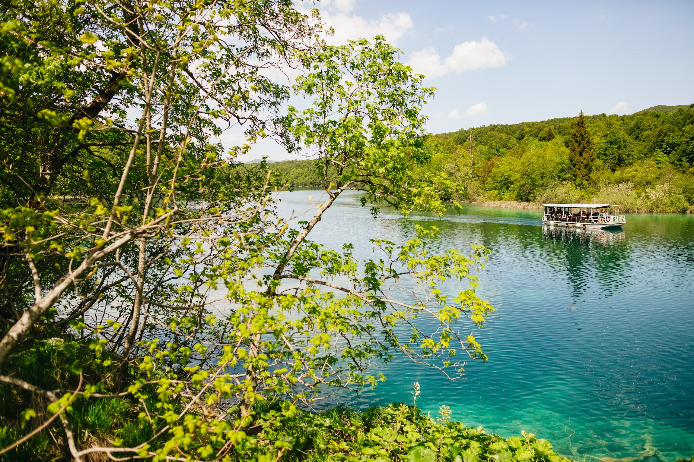 Plitvice Lakes Guided Day Trip from Split or Trogir