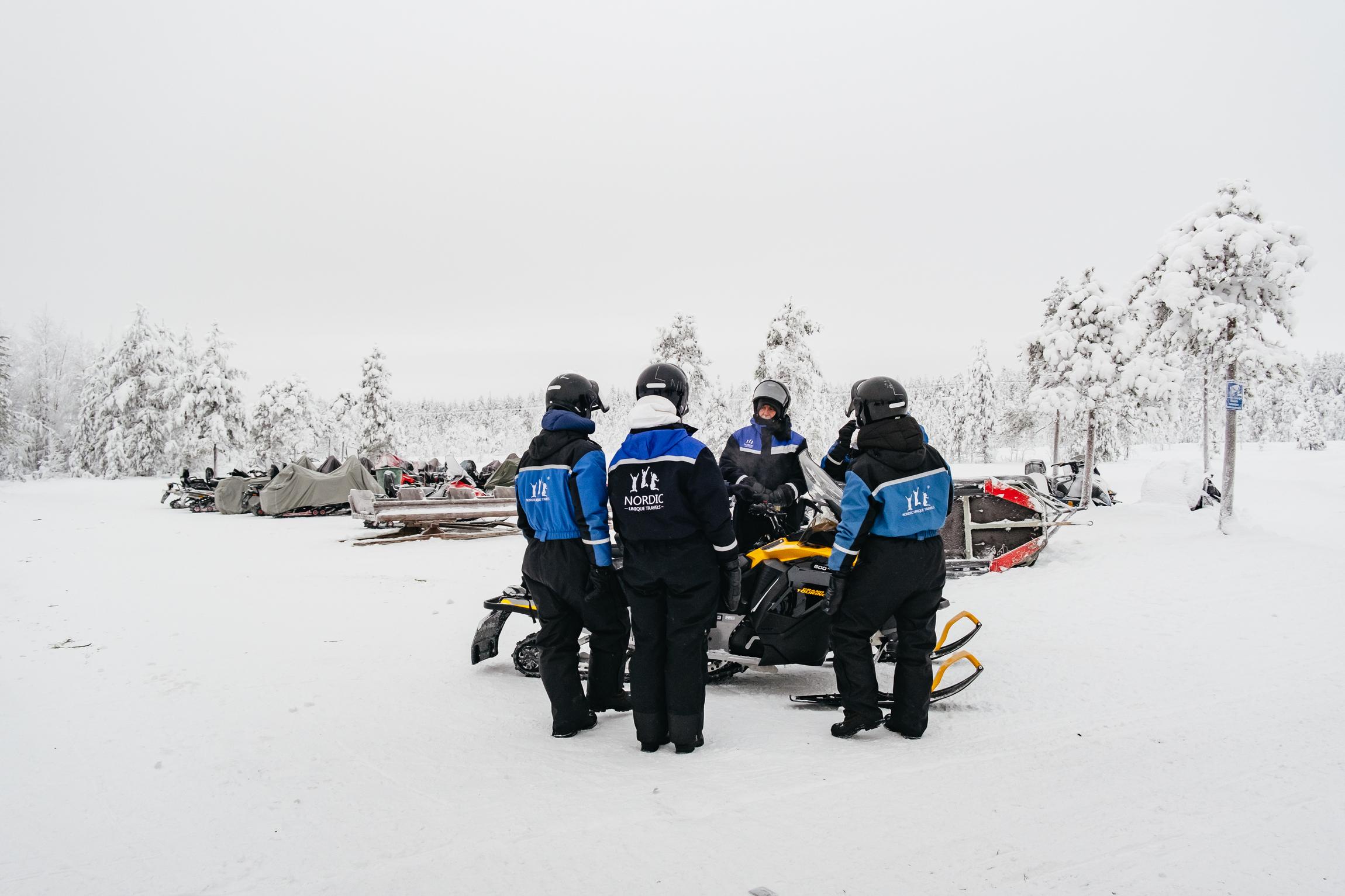 Rovaniemi Snowmobile Safari & Arctic Wildlife Day Tour