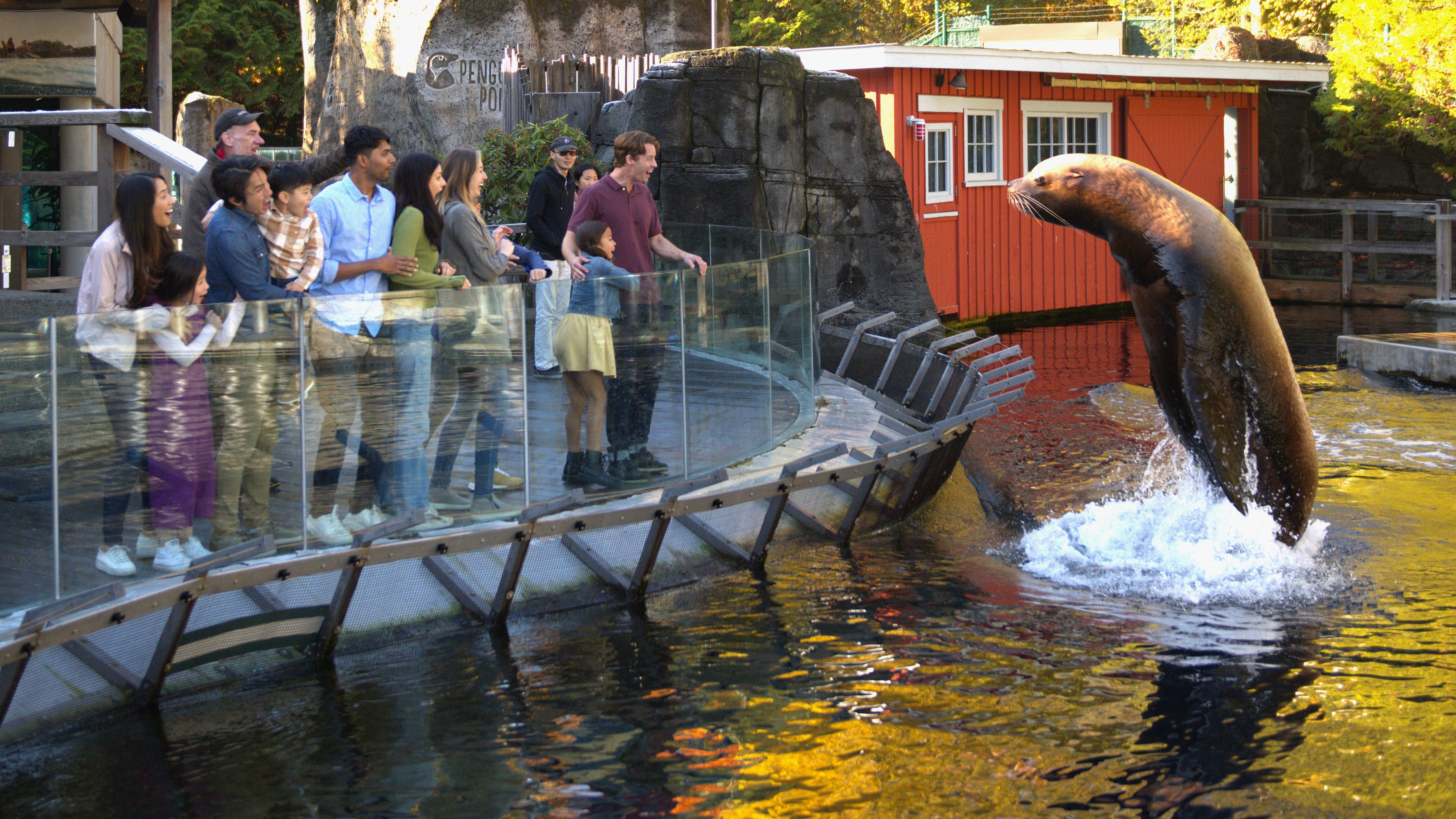 Vancouver Aquarium Skip-the-Line Admission Ticket
