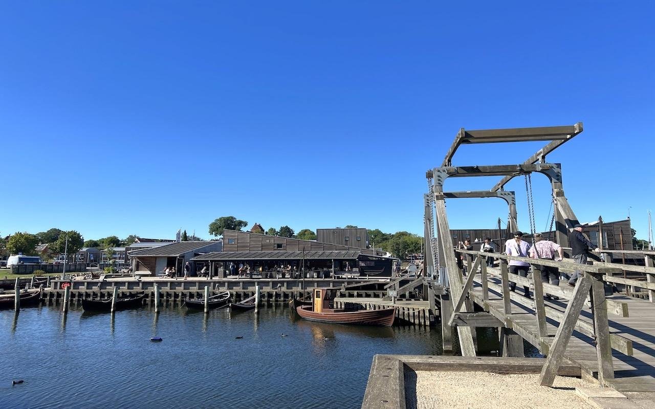 Spanish-Guided Roskilde & Viking Ship Museum Tour