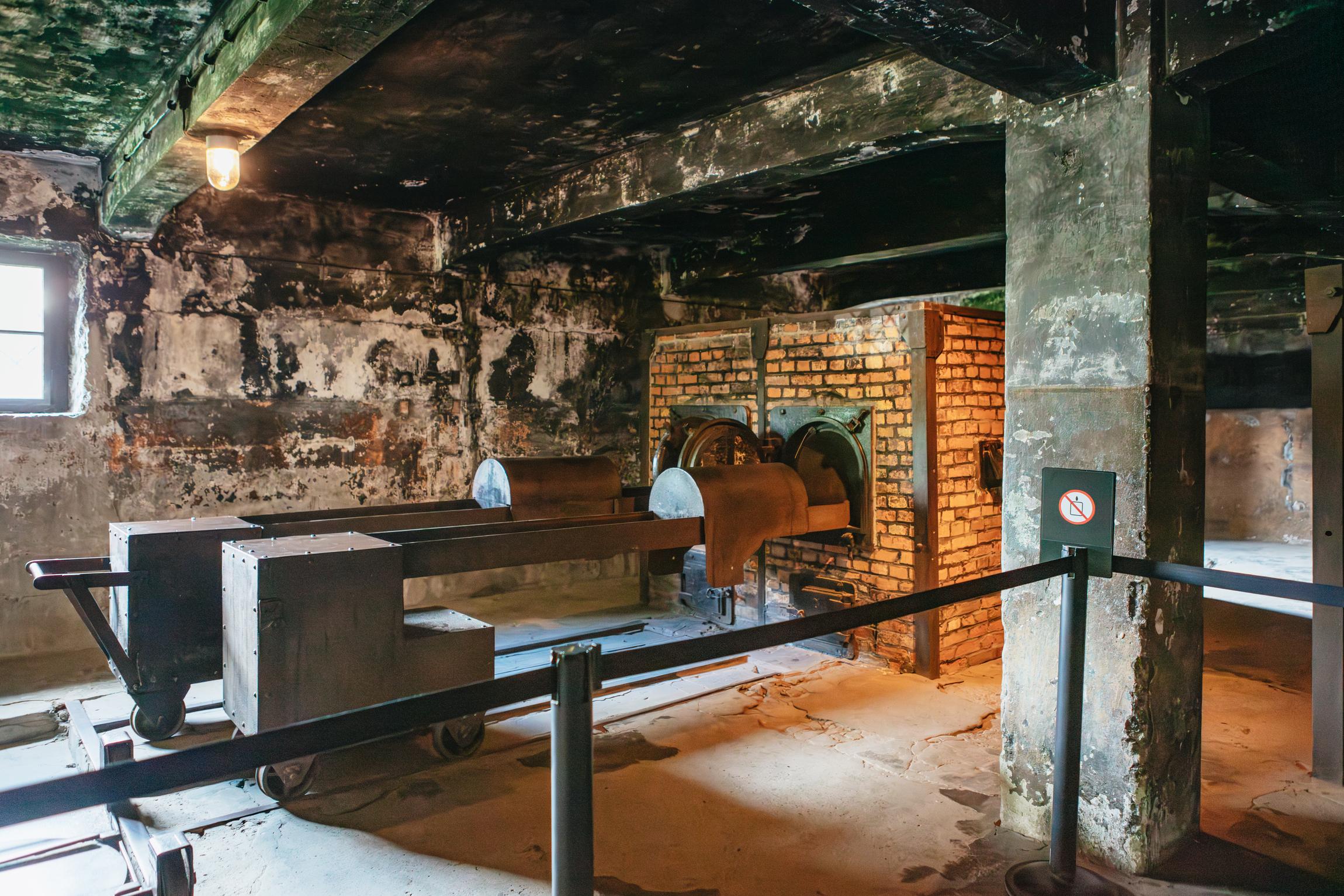 Official Auschwitz-Birkenau Guided Day Trip from Krakow