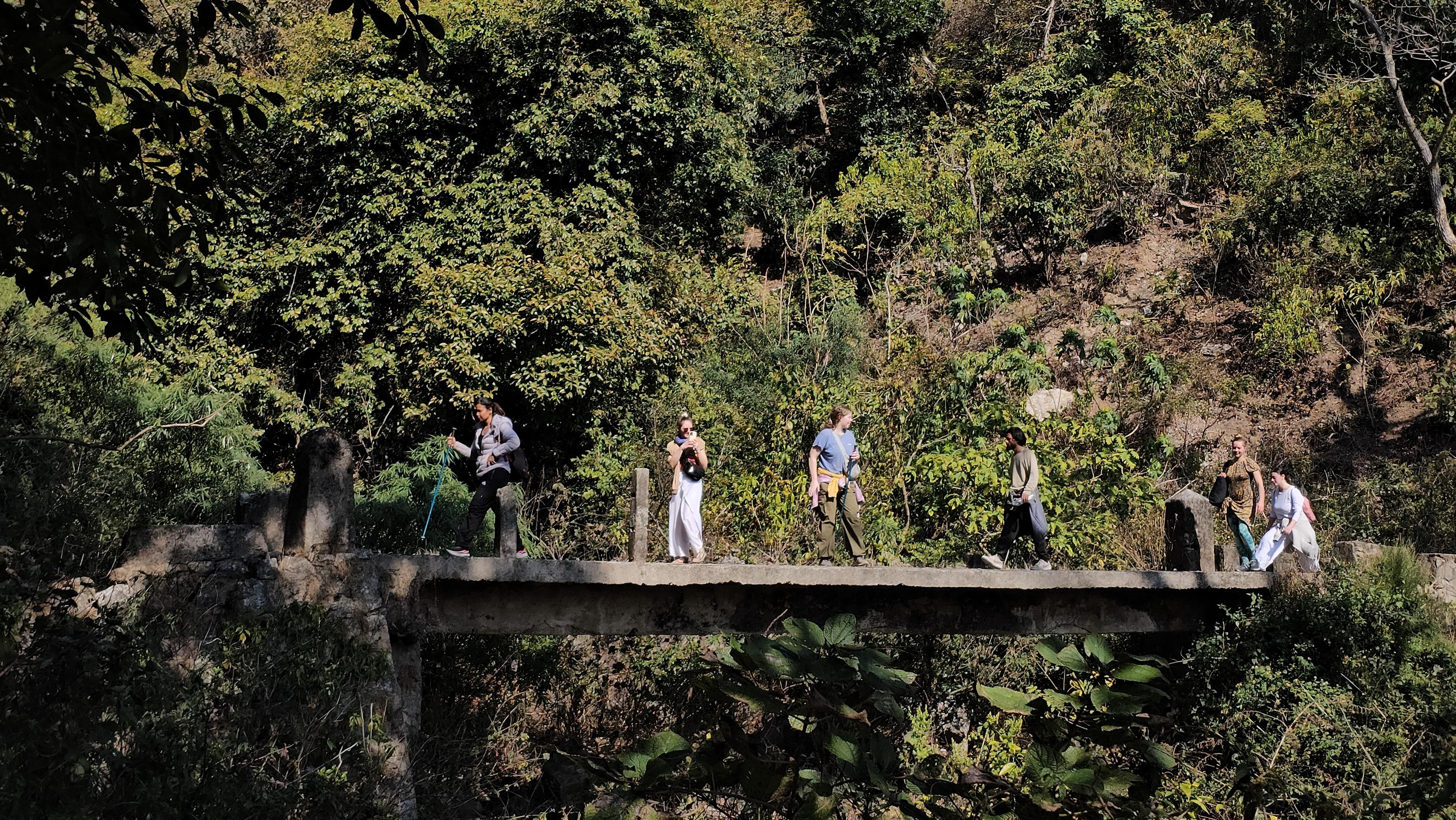 Kunjapuri Himalayan Sunrise Trek & Waterfall Hike