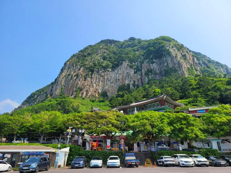 Jeju private car charter — image 16