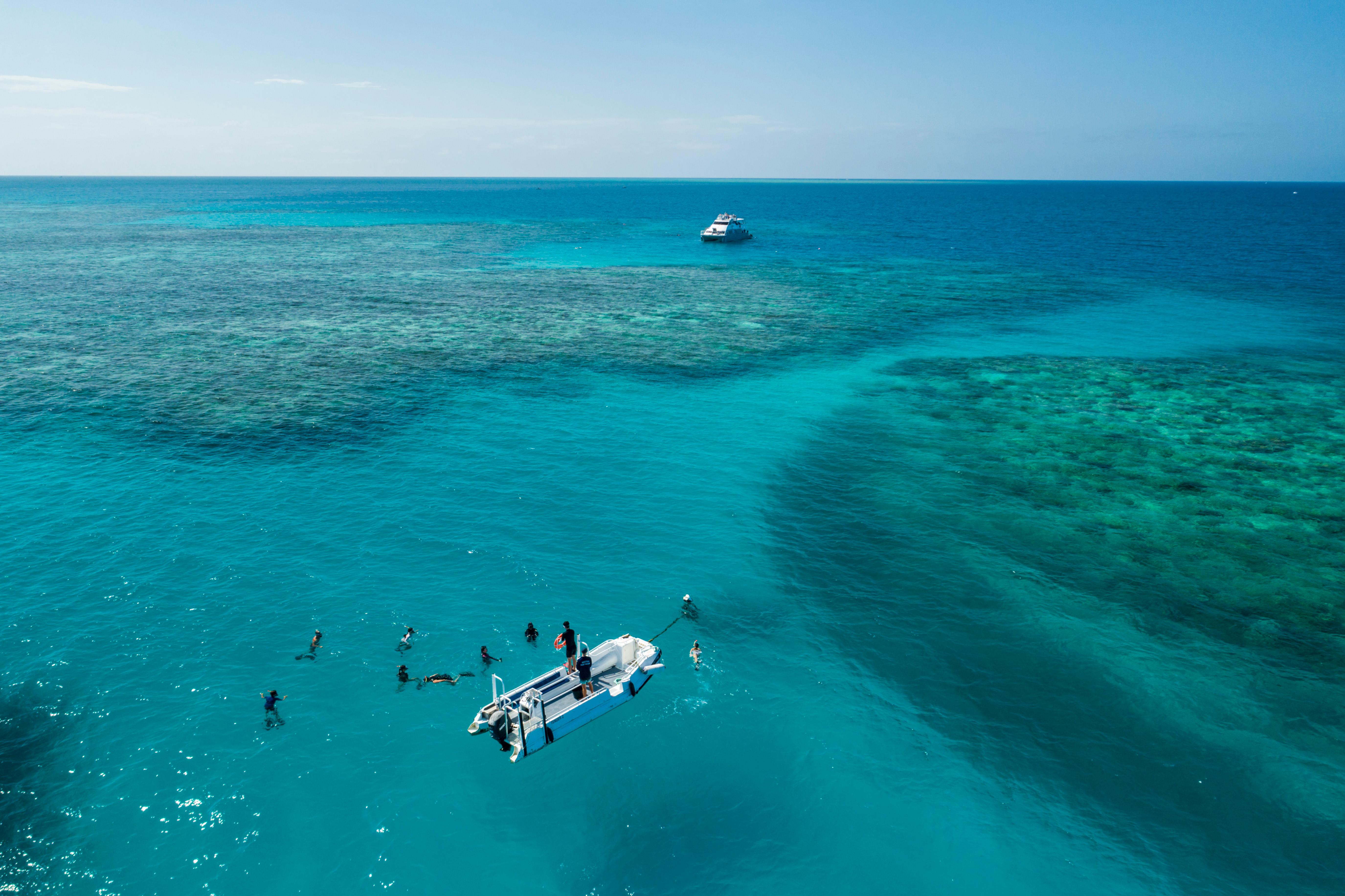 Cairns barrier reef tour to Upolu Reef — photo 2