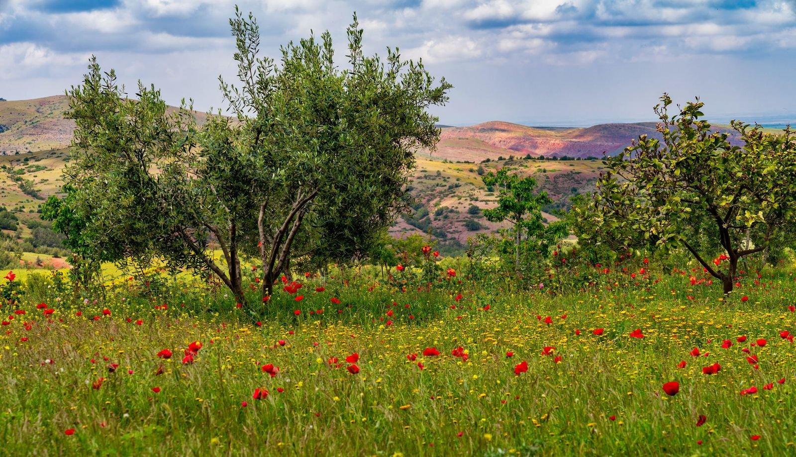 Paradise Valley & Atlas Mountains Expedition