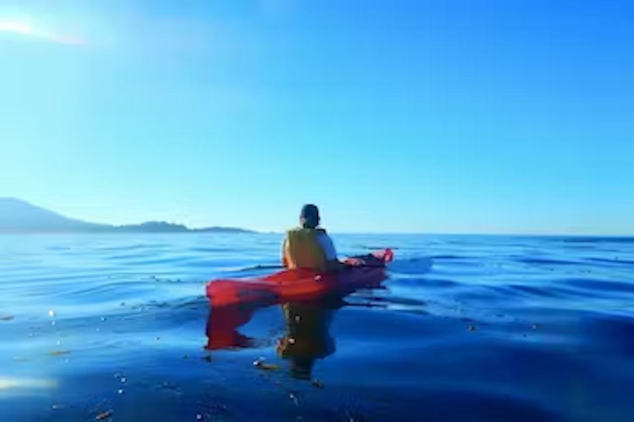 Pebble Beach & Stillwater Cove Kayaking Excursion