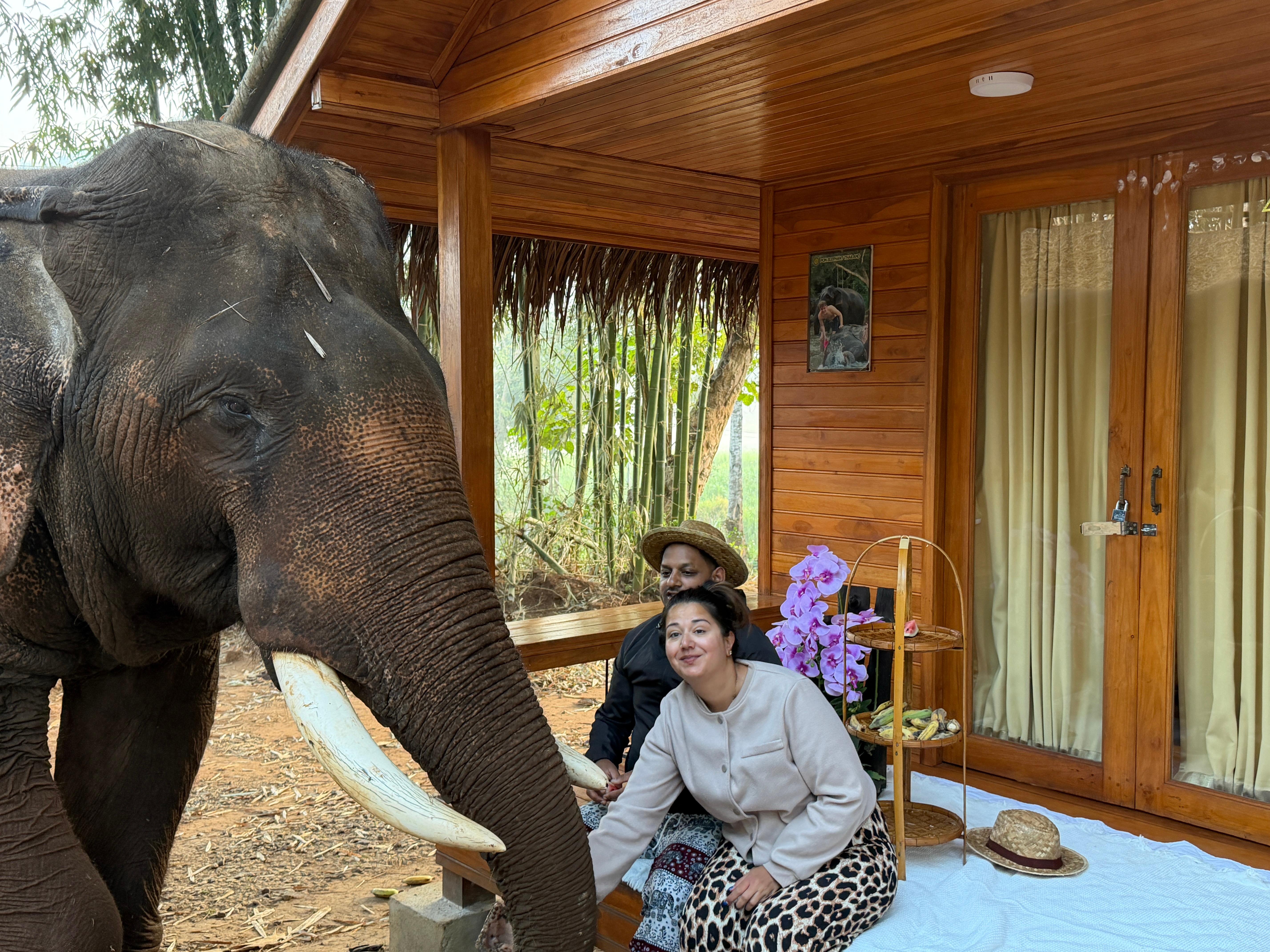 Chiang Mai 2-Day: Good Morning Elephant & Overnight Homestay