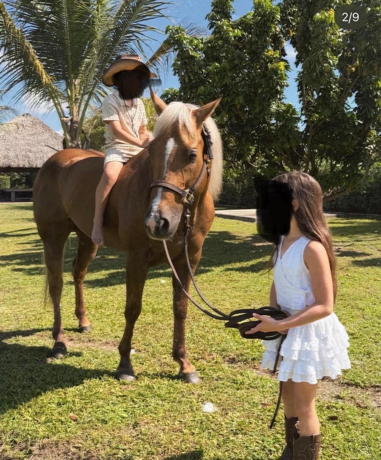 Miami Horseback Riding Adventure with Professional Guide