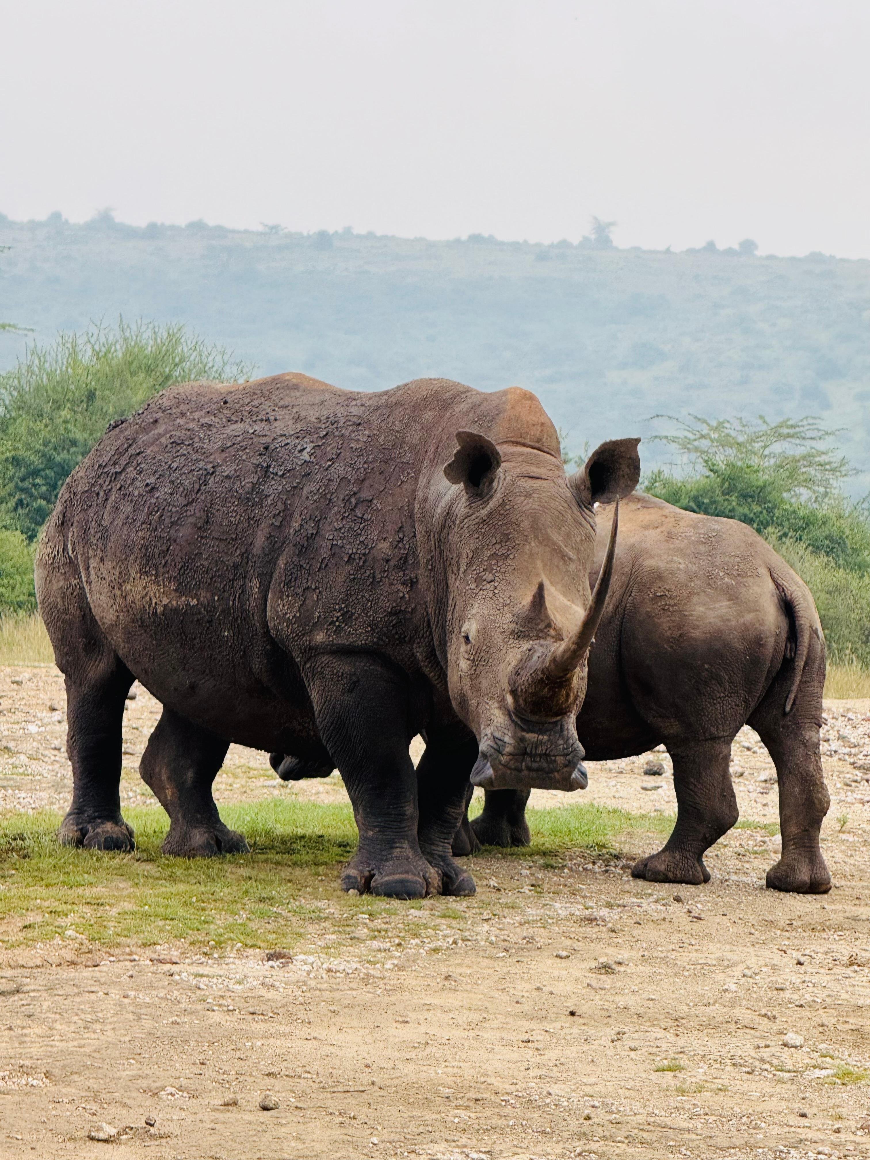 3-Day Masai Mara Safari Adventure from Nairobi