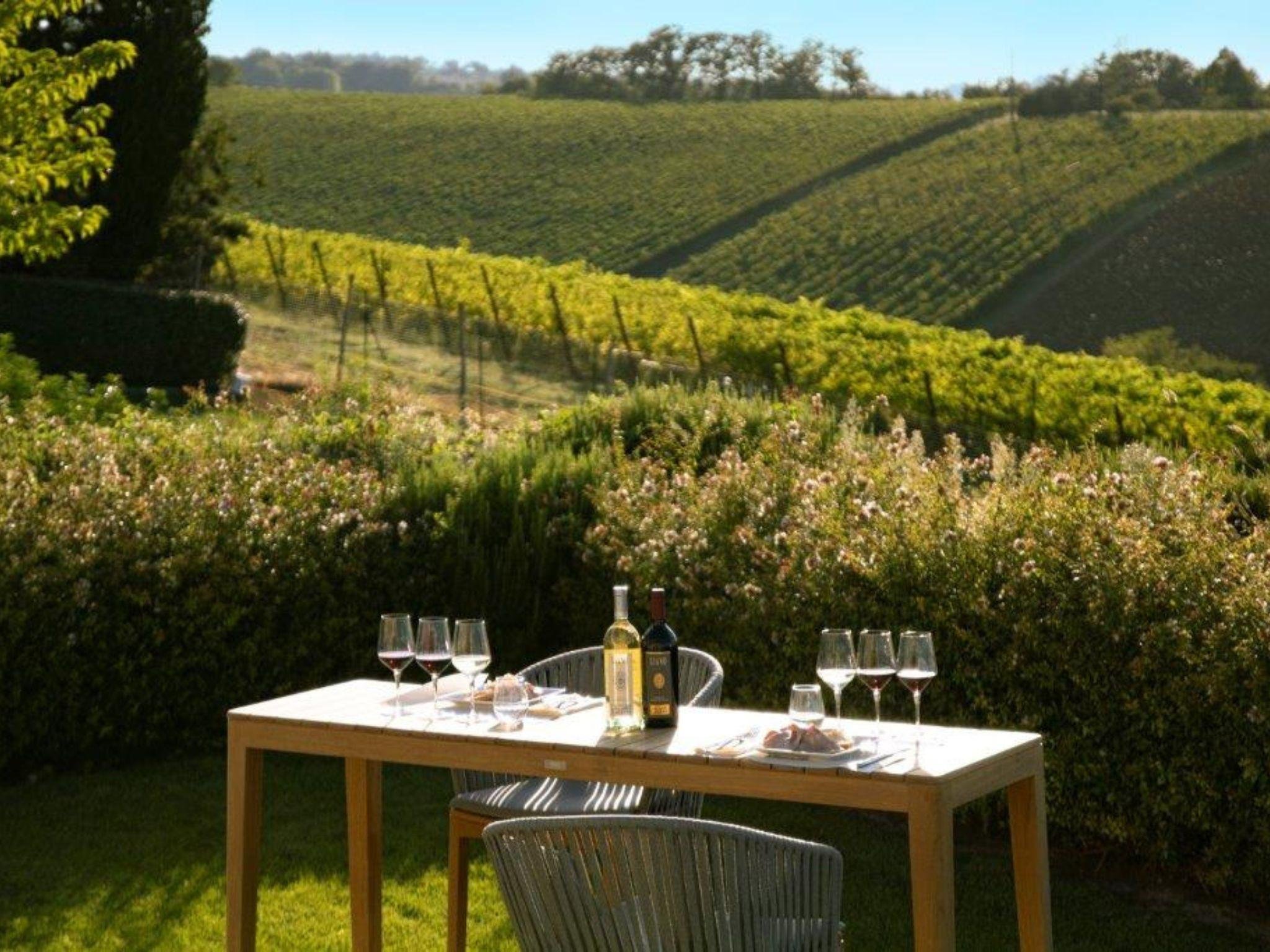 Bologna Winery Barrel Room Tour & Wine Tasting with Food Pairing