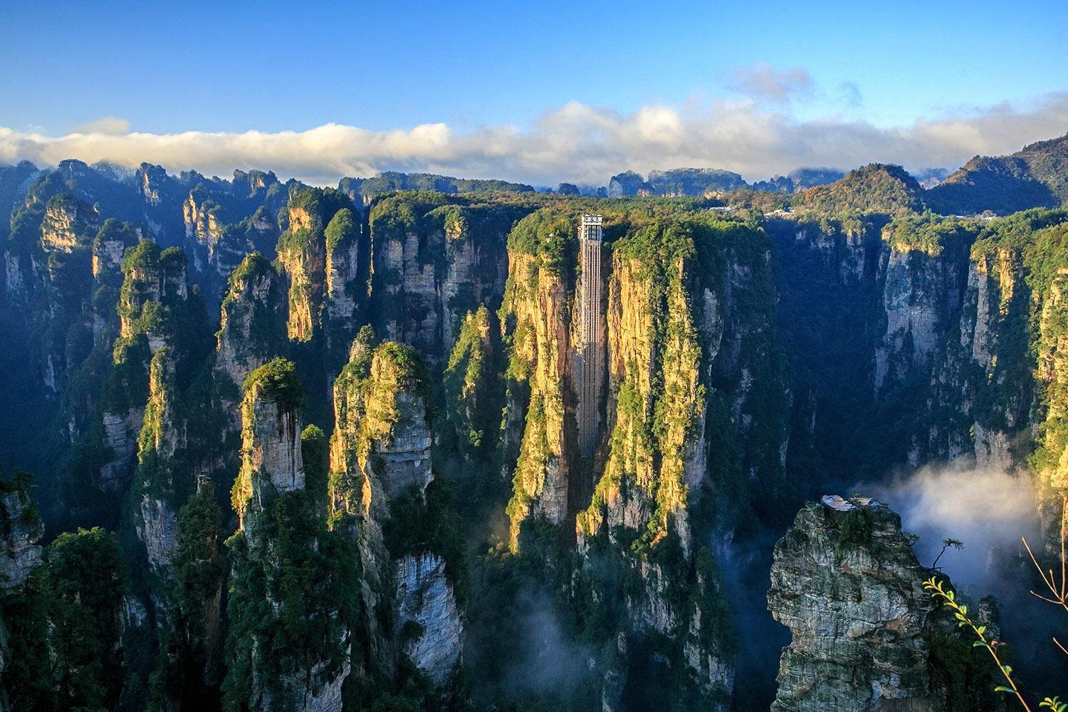 Zhangjiajie Avatar Mountain & Forest Park Full-Day Tour