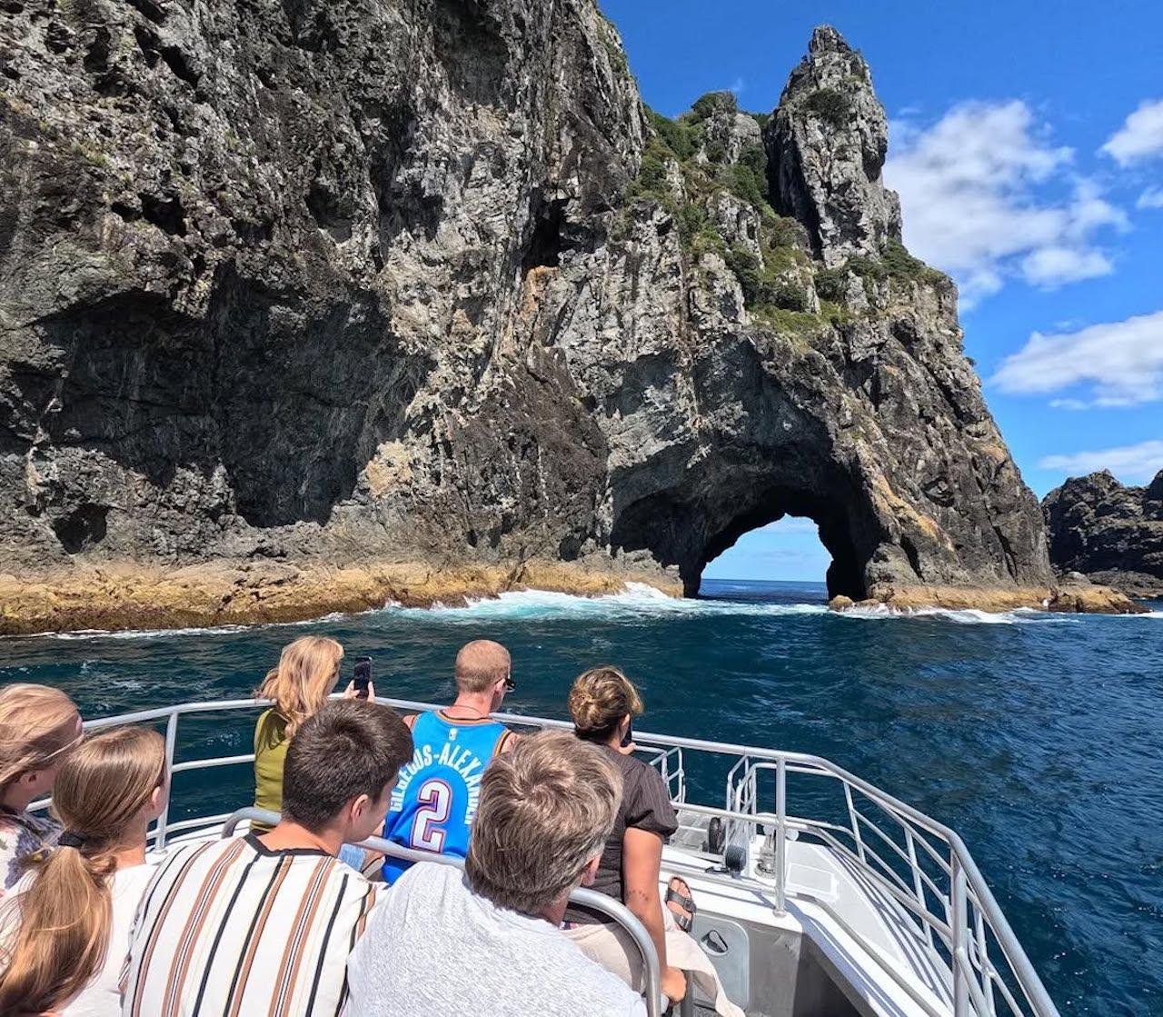 Bay of Islands Cruise & Roberton Island Stopover from Paihia