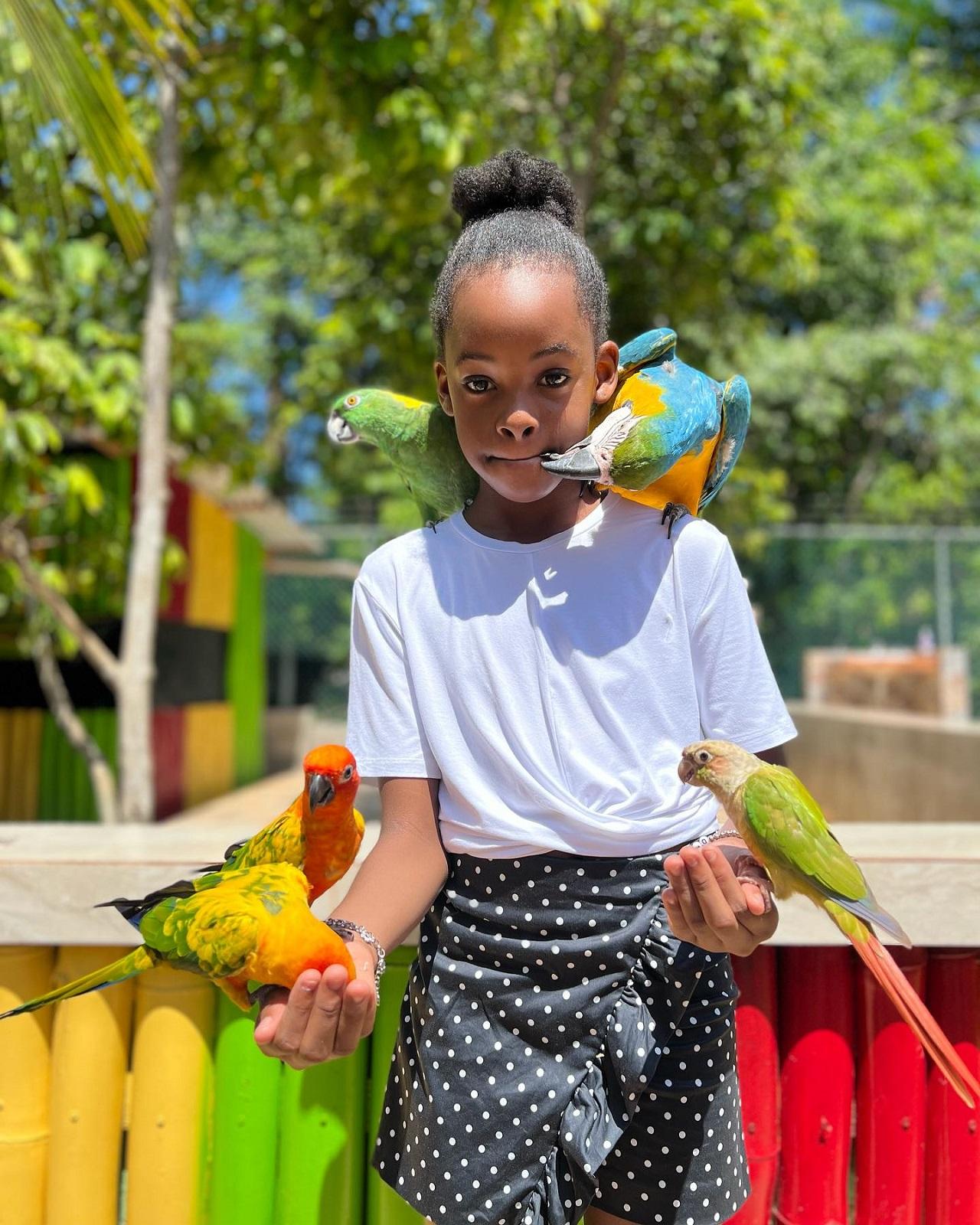 Marijuana Farm & Exotic Bird Sanctuary Experience