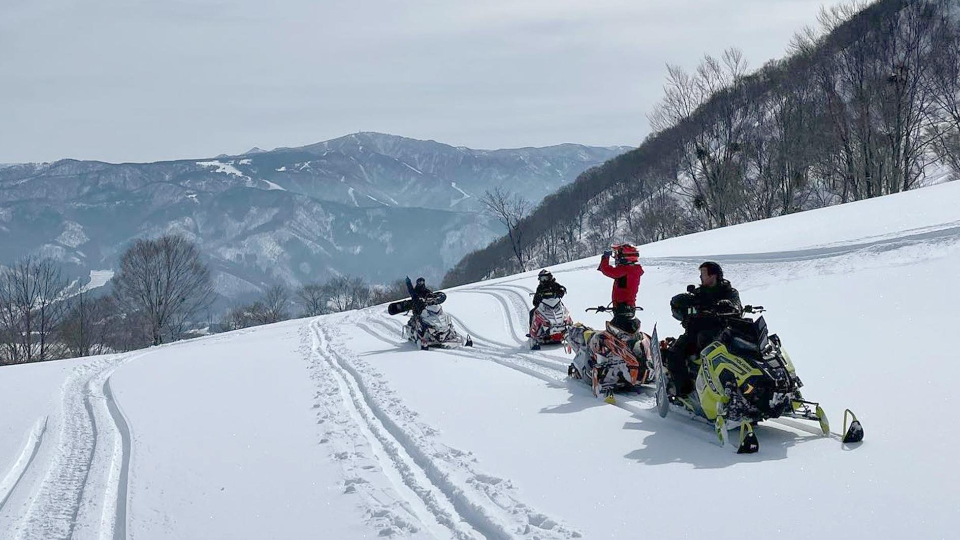 Hokkaido Winter Day Tour: Asahiyama Zoo & Snowfields from Sapporo