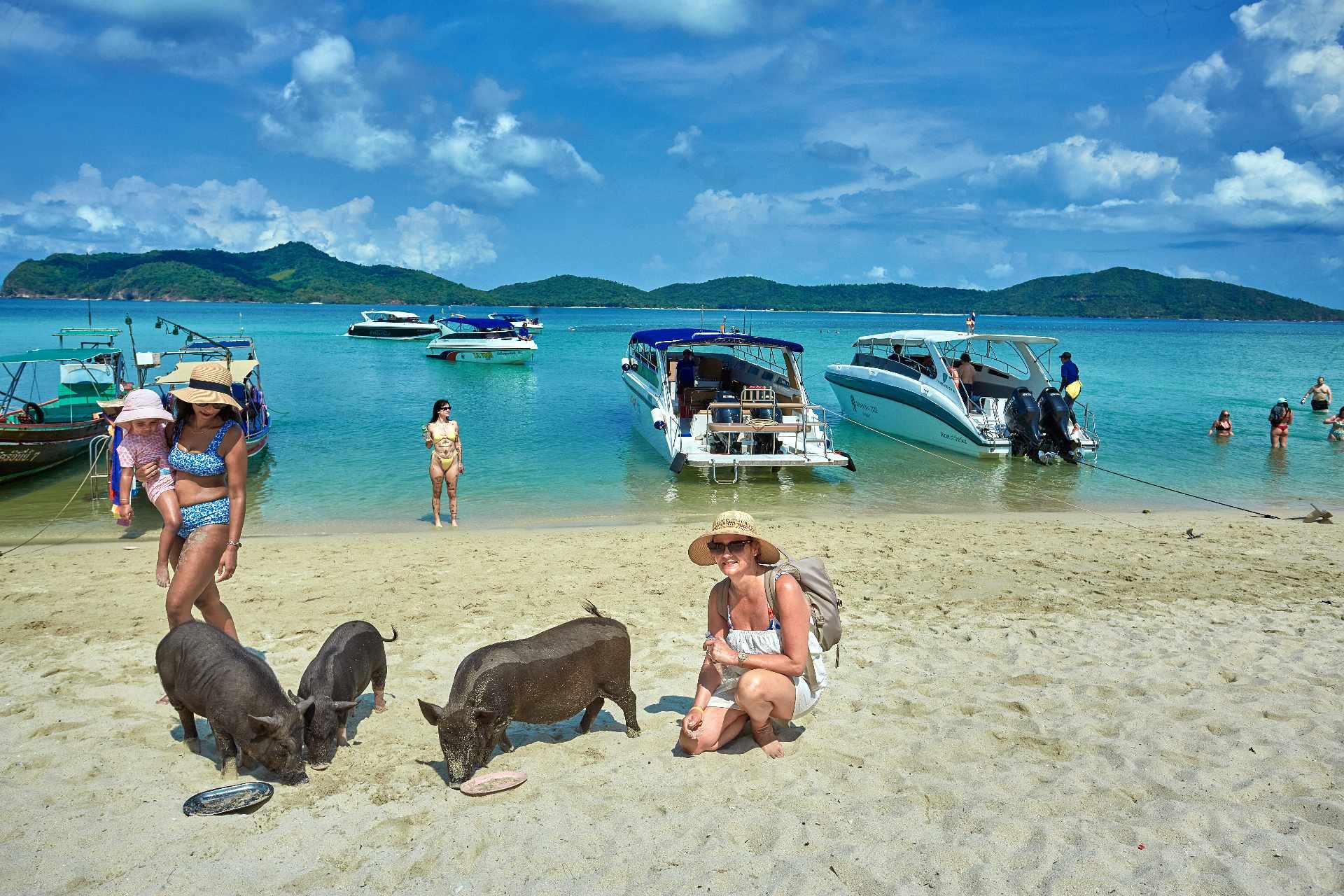 Pig Island & Koh Tan Snorkeling Express